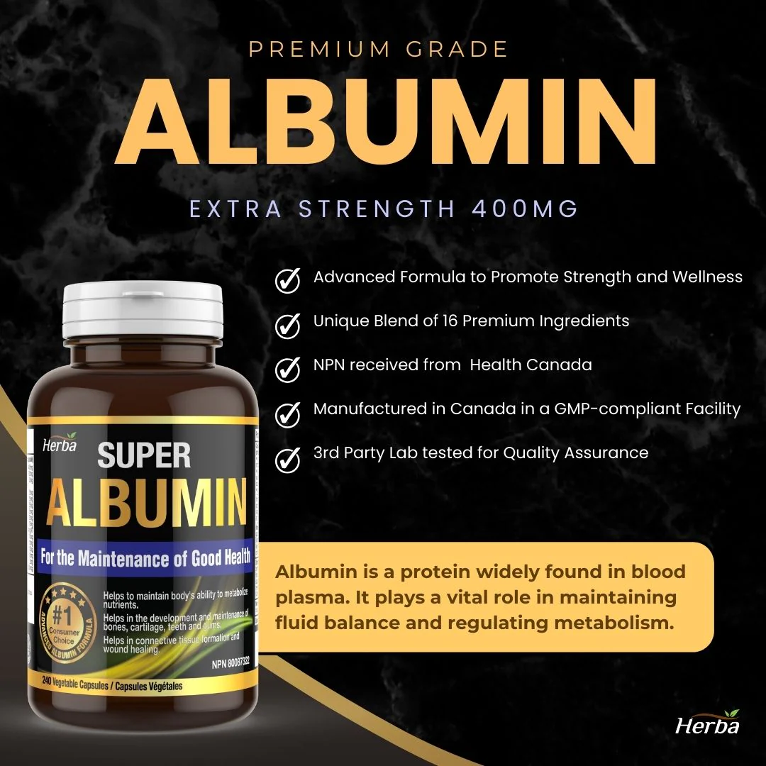 Albumin Protein Supplement – 240 Vegetable Capsules | Albumin Capsules with 16 Premium Ingredients - Image 4
