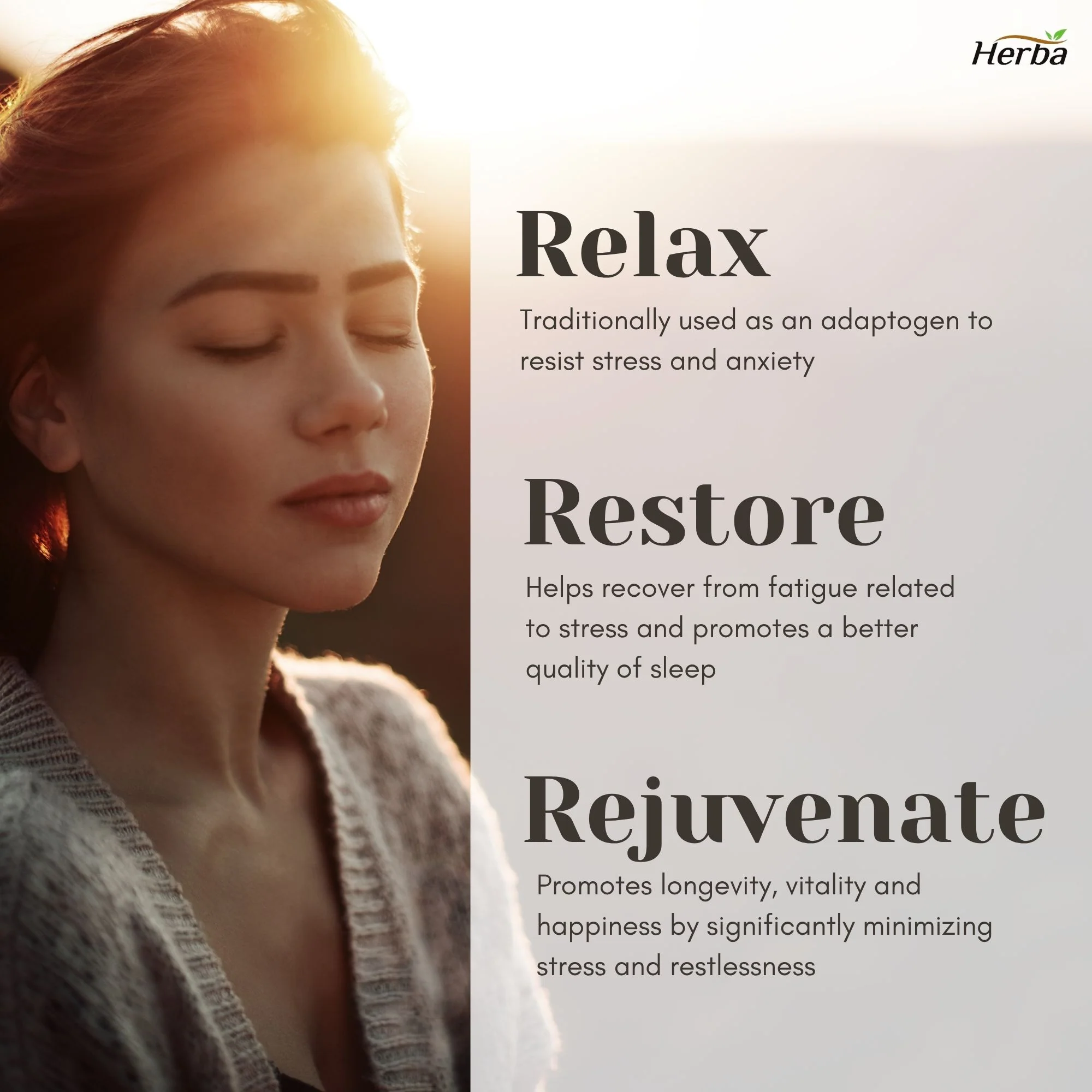 Ashwagandha Supplement - 150 Capsules | Made in Canada | 6000mg Dry Powder Equivalent Per Day - Image 6