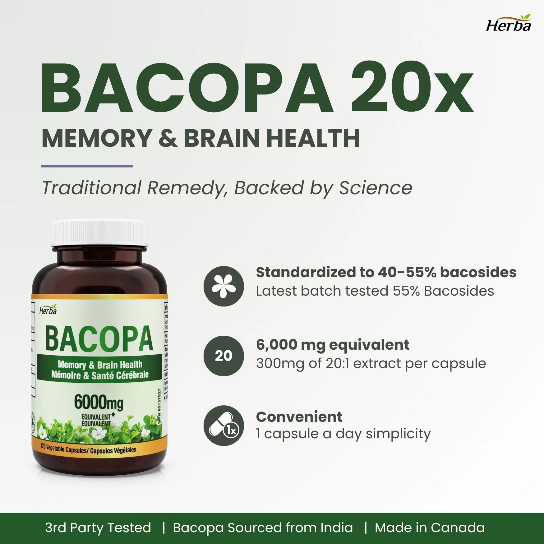 Bacopa Monnieri Supplement – 120 Capsules | 300mg, 20:1 Extract - 6,000mg Equivalent | Made in Canada - Image 3