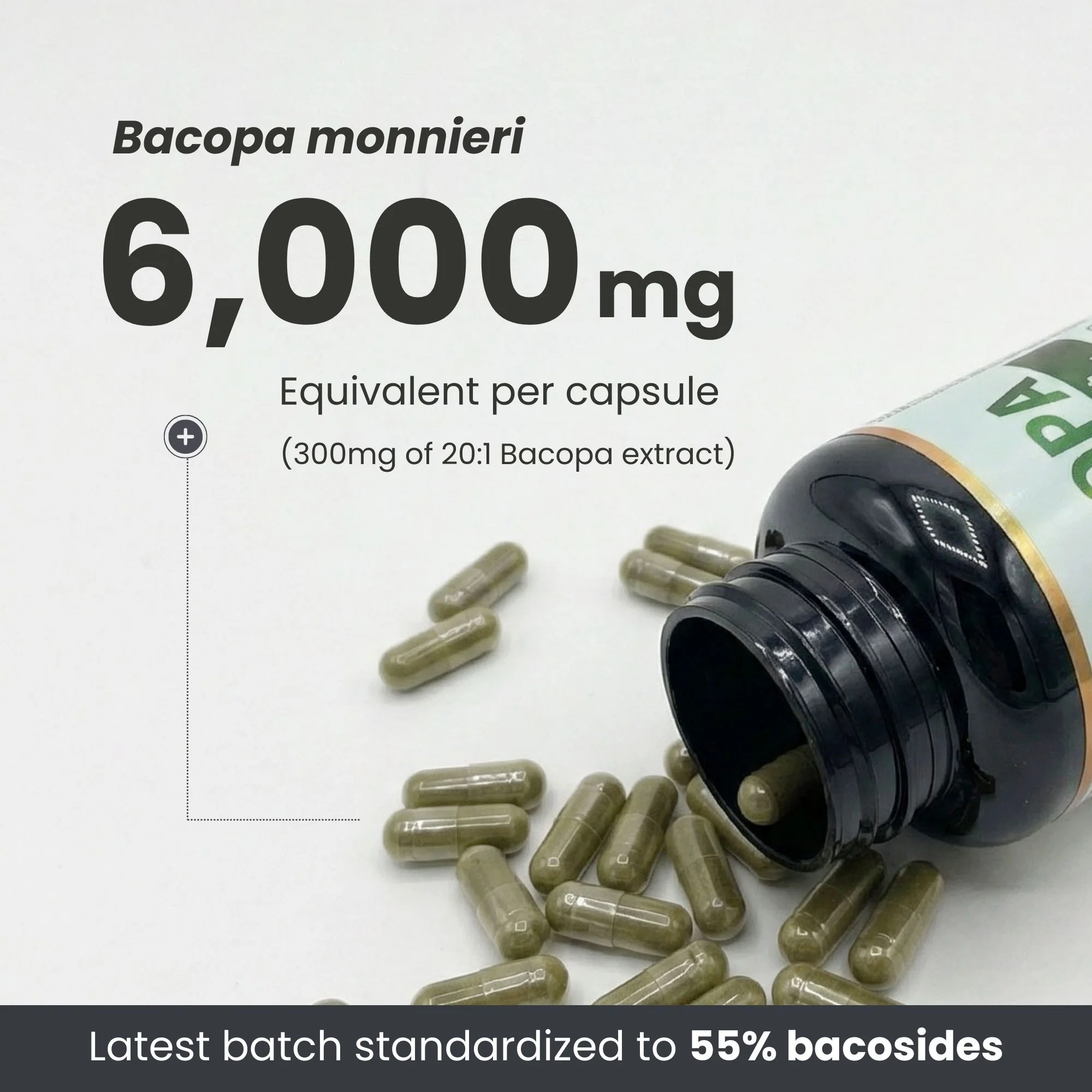 Bacopa Monnieri Supplement – 120 Capsules | 300mg, 20:1 Extract - 6,000mg Equivalent | Made in Canada - Image 4