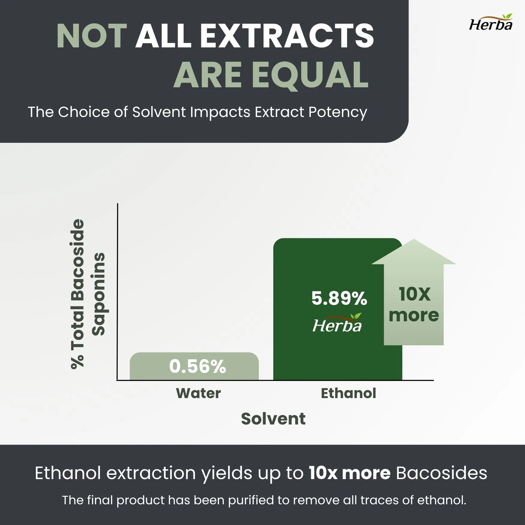 Bacopa Monnieri Supplement – 120 Capsules | 300mg, 20:1 Extract - 6,000mg Equivalent | Made in Canada - Image 5