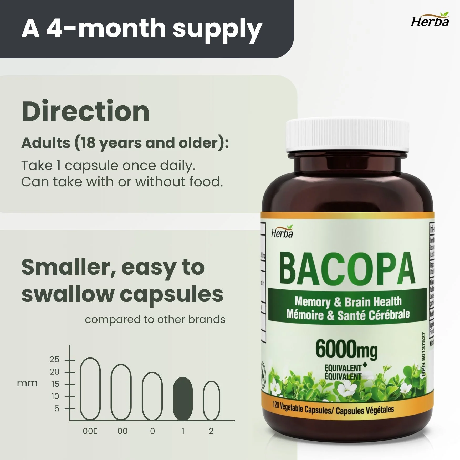 Bacopa Monnieri Supplement – 120 Capsules | 300mg, 20:1 Extract - 6,000mg Equivalent | Made in Canada - Image 6