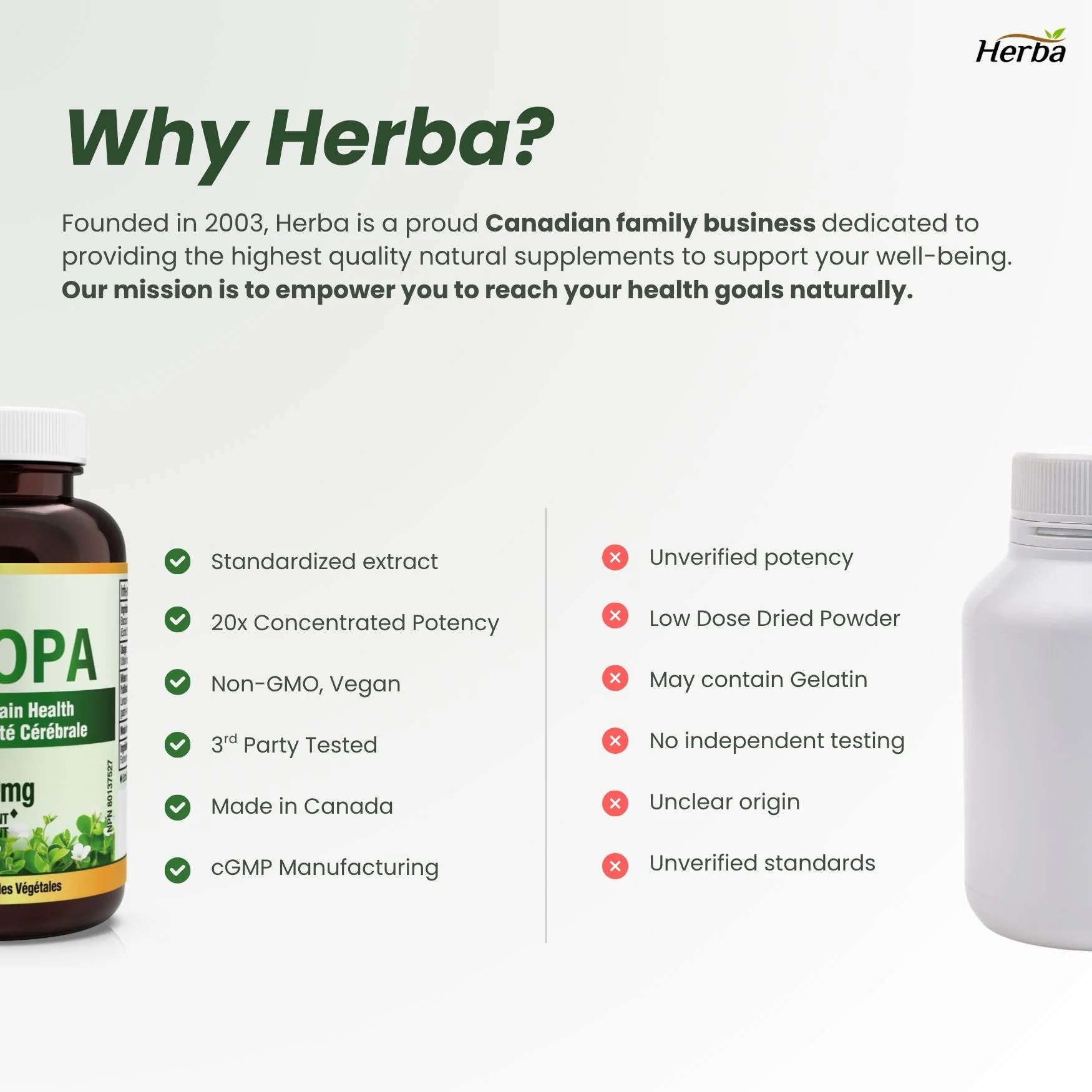 Bacopa Monnieri Supplement – 120 Capsules | 300mg, 20:1 Extract - 6,000mg Equivalent | Made in Canada - Image 7