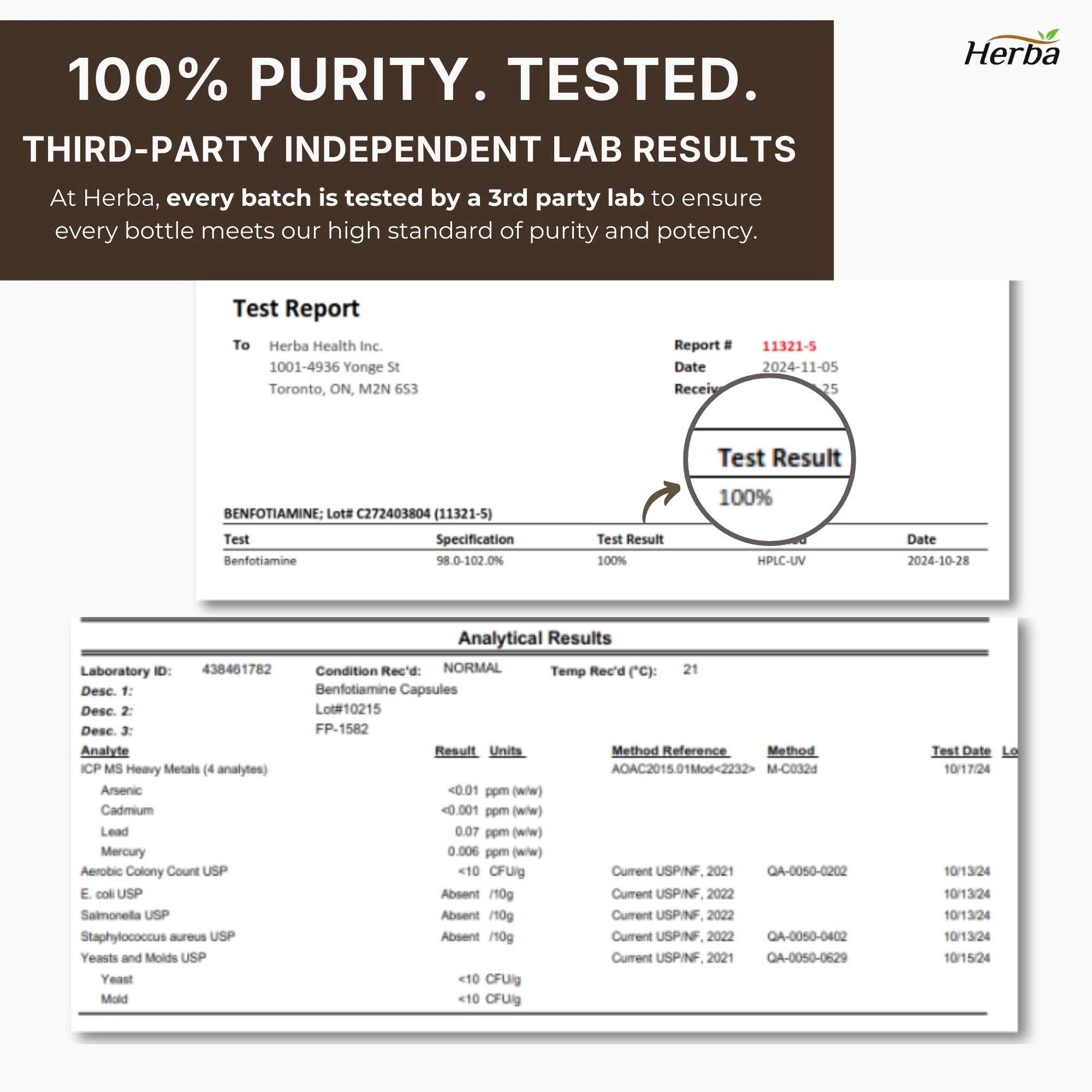 Benfotiamine 100mg - 120 Capsules | Fat Soluble Vitamin B1 | Made in Canada - Image 9