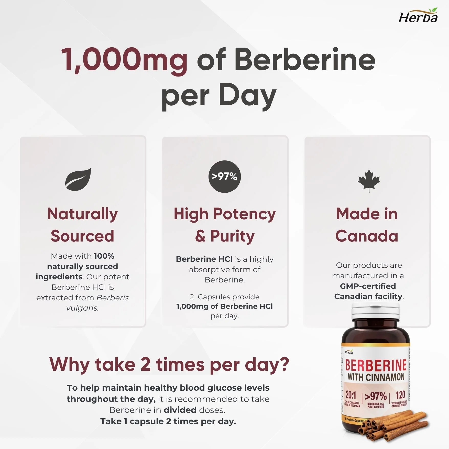 Berberine Supplement with Ceylon Cinnamon – 120 Capsules | Berberine 1000mg (per serving) | Made in Canada - Image 7