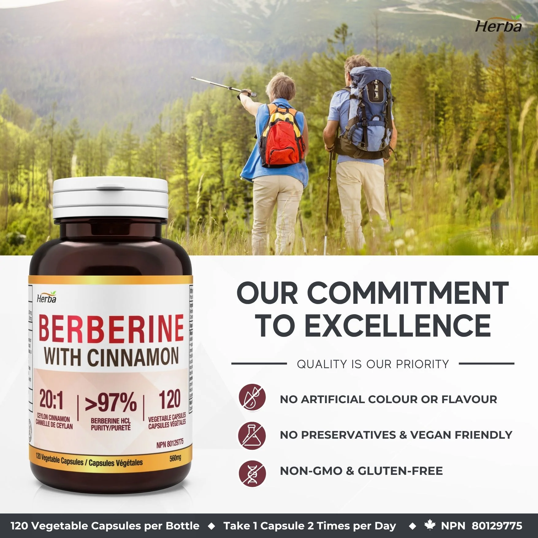 Berberine Supplement with Ceylon Cinnamon – 120 Capsules | Berberine 1000mg (per serving) | Made in Canada - Image 8