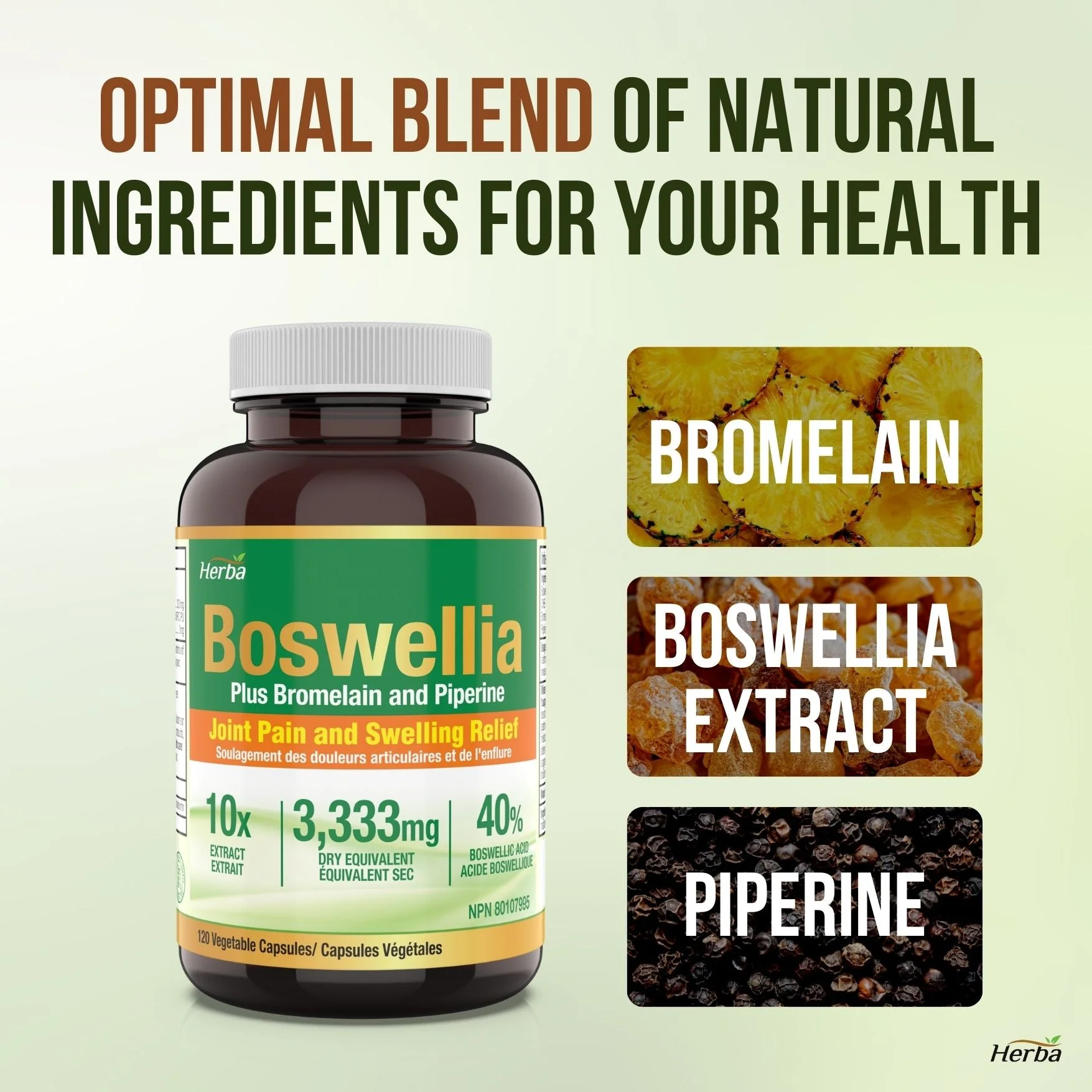 Boswellia Serrata Capsules with Bromelain Supplement - 120 Capsules - Image 4