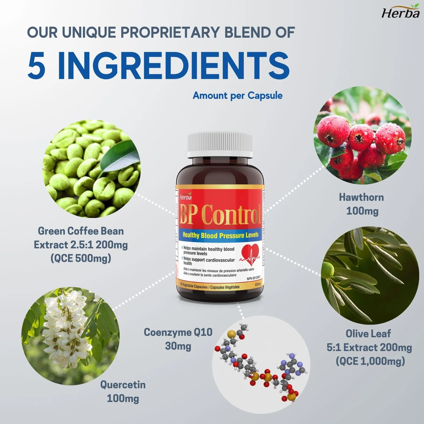 BP Control - 90 Capsules | Blood Pressure Support Supplement - Image 5