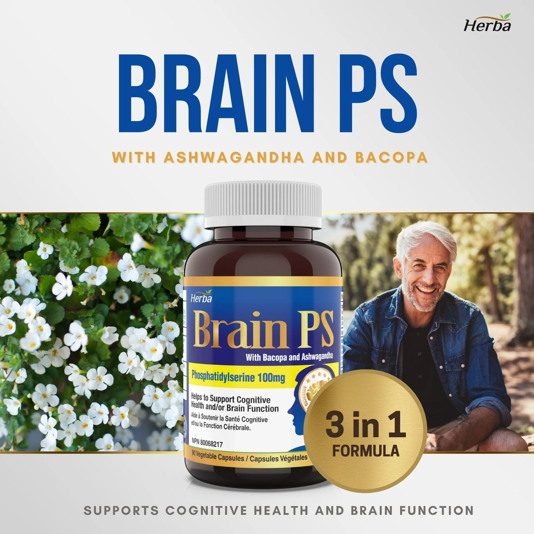 Brain PS - 90 Capsules | Brain Supplement with Phosphatidylserine, Bacopa Monnieri, and Ashwagandha - Image 3