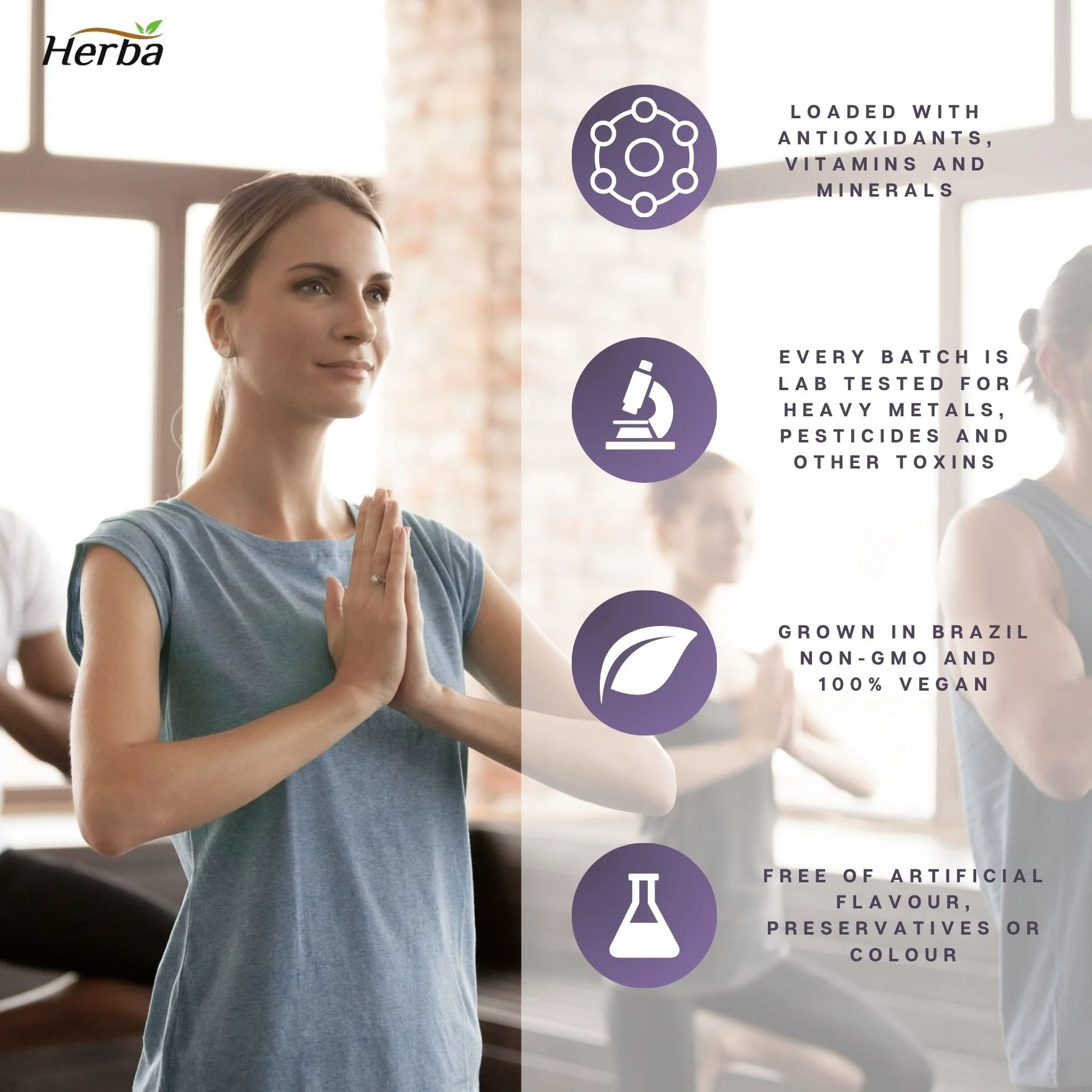 Acai Berry Capsules – 180 Vegetable Capsules | 14,000mg Equivalent - 50:1 Extract - Image 5