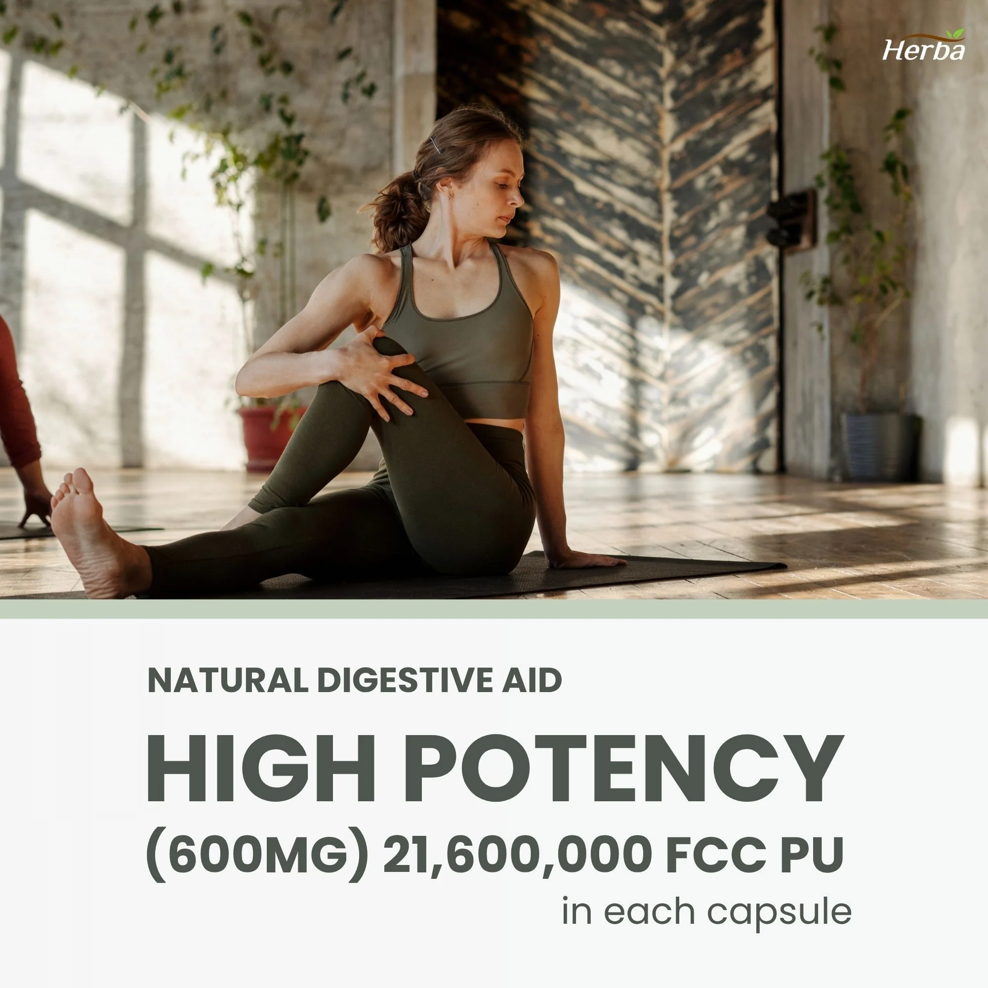 Bromelain Supplement 600mg – 180 Capsules | 2,400 GDU/g Max Potency - Image 5