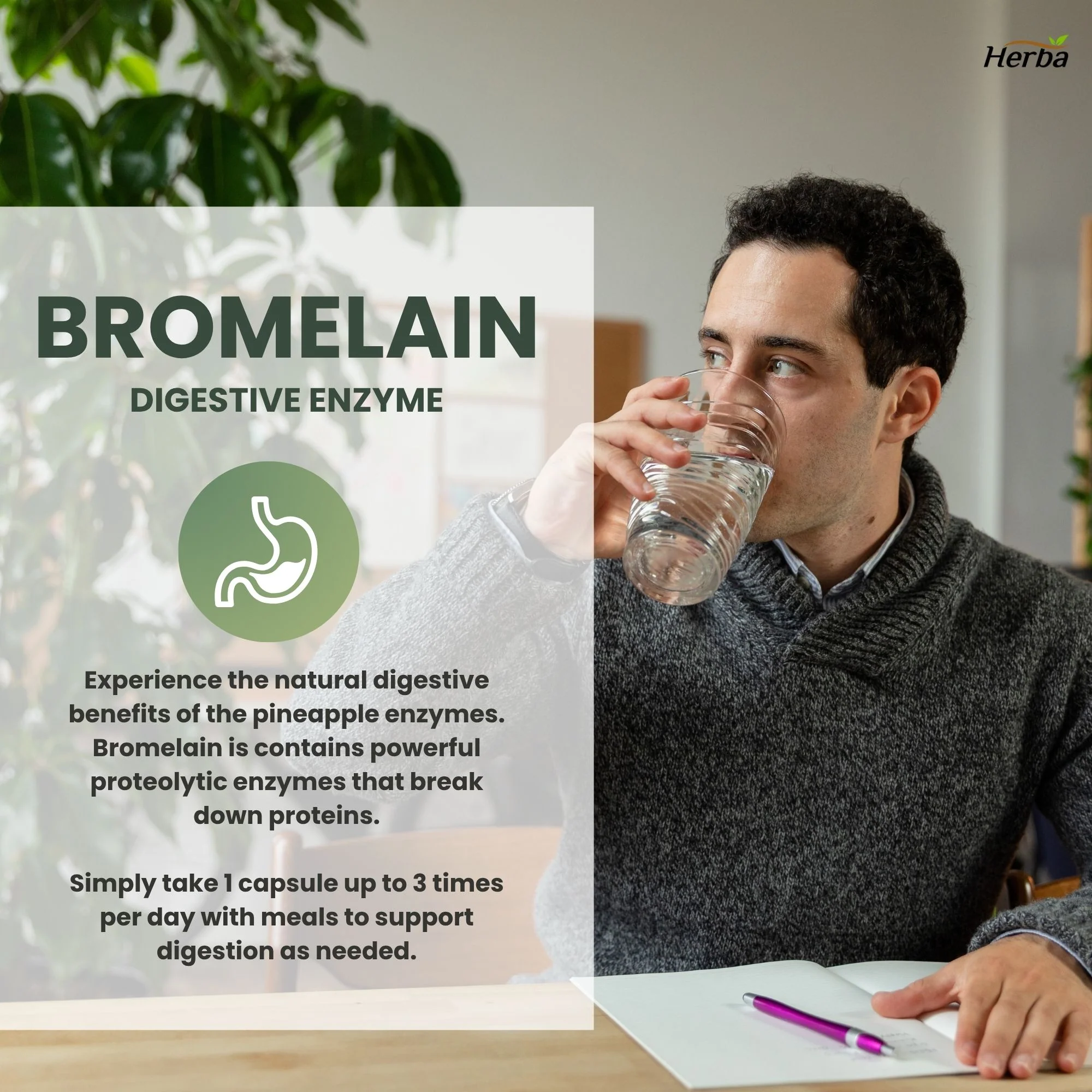 Bromelain Supplement 600mg – 180 Capsules | 2,400 GDU/g Max Potency - Image 9