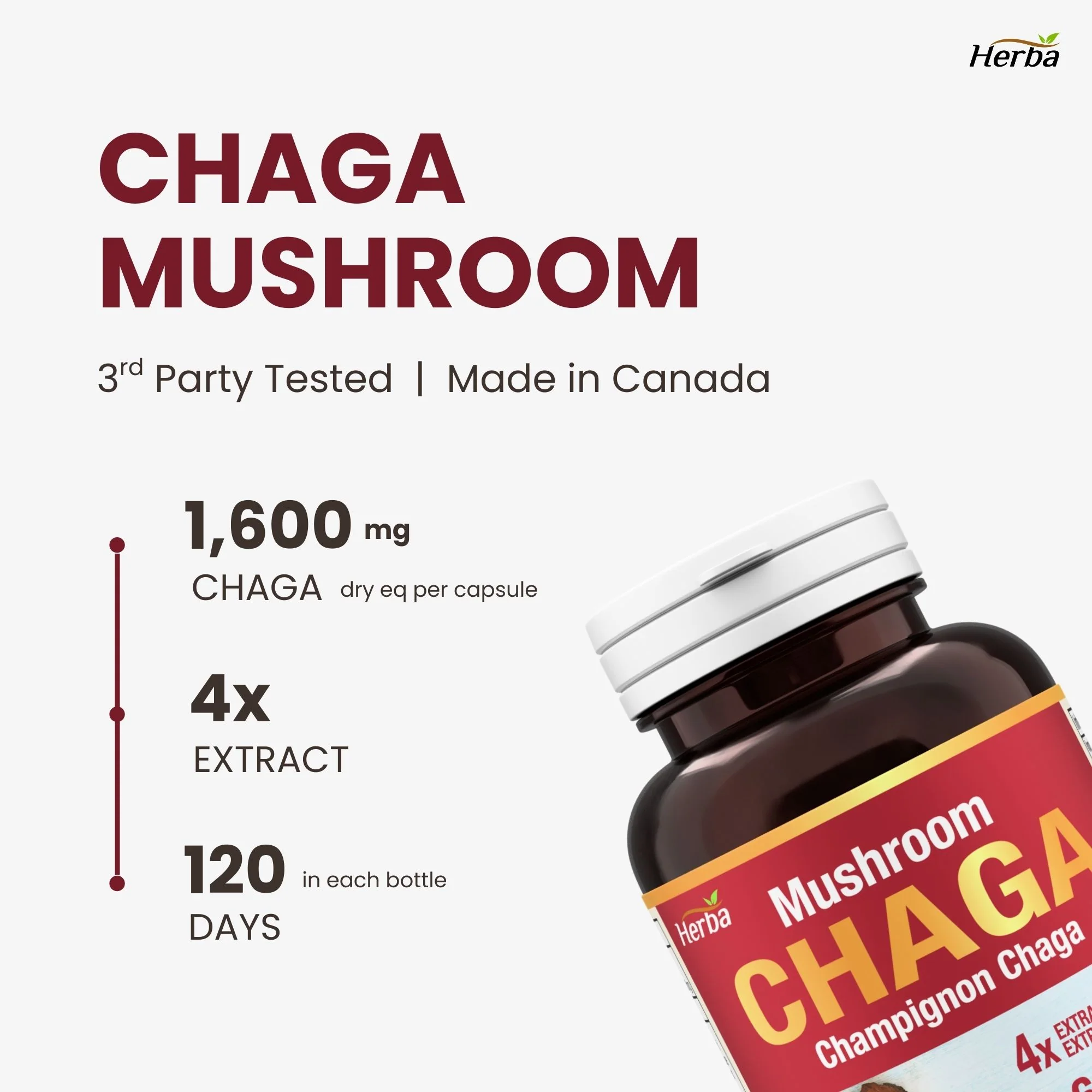 Chaga Mushroom Capsules 400mg - 120 Vegetable Capsules | 4:1 High Concentrate - Image 3