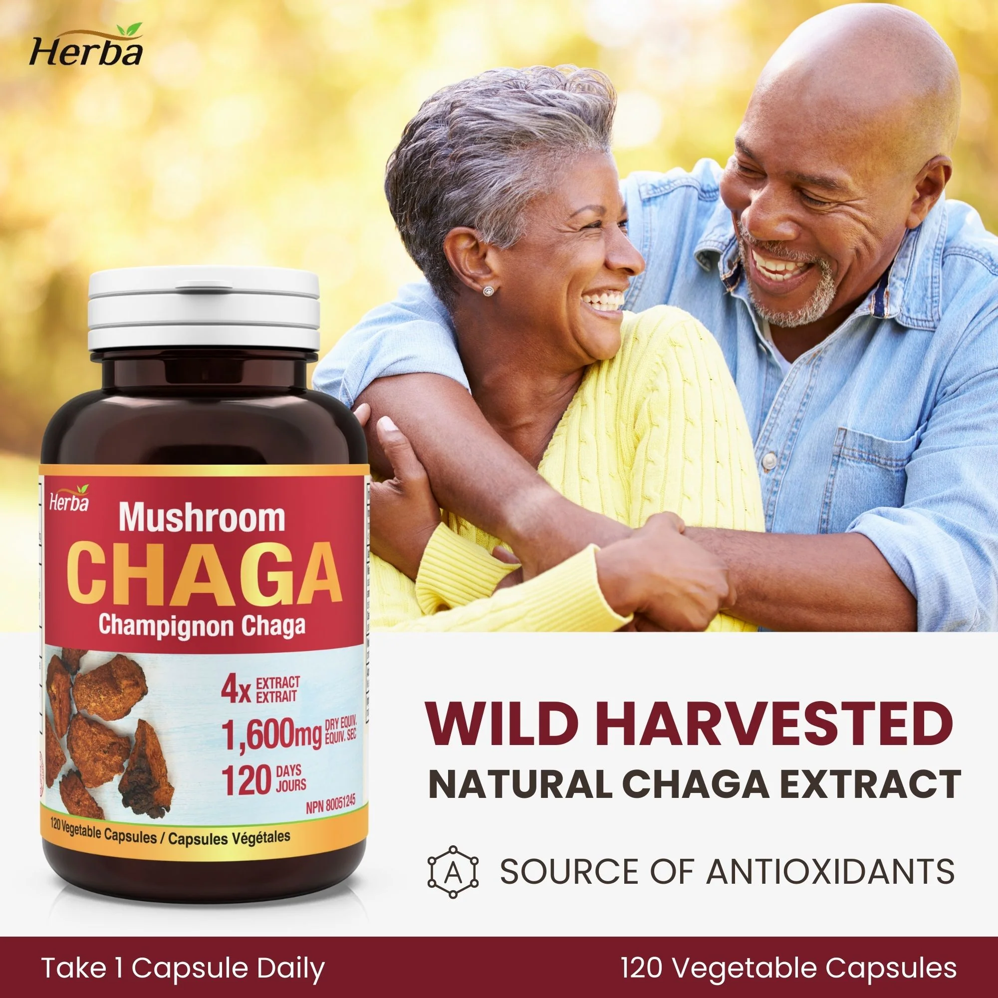 Chaga Mushroom Capsules 400mg - 120 Vegetable Capsules | 4:1 High Concentrate - Image 4