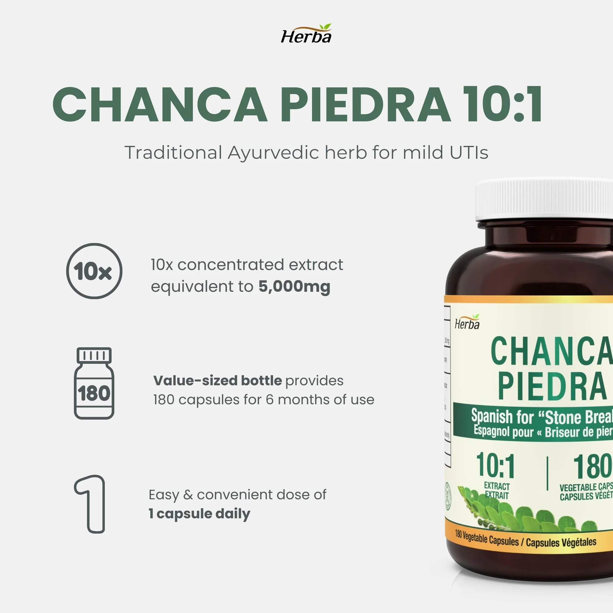 Chanca Piedra Extract - 180 Capsules | 5,000mg Equivalent | 10:1 Extract from 500mg | Made in Canada - Image 3
