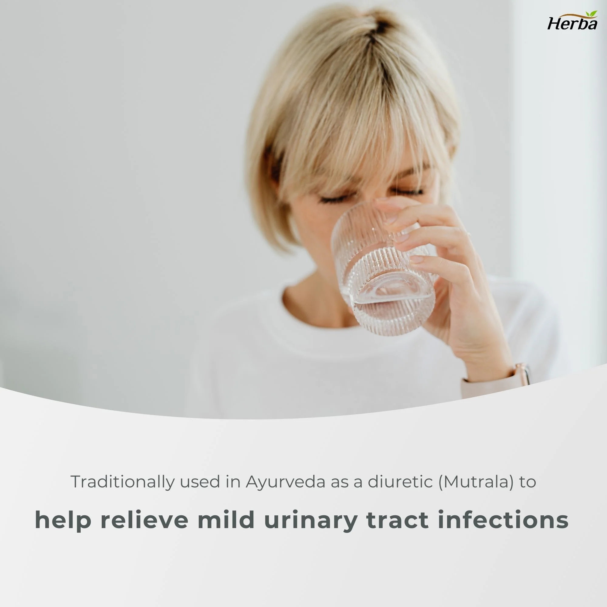 Chanca Piedra Extract - 180 Capsules | 5,000mg Equivalent | 10:1 Extract from 500mg | Made in Canada - Image 5