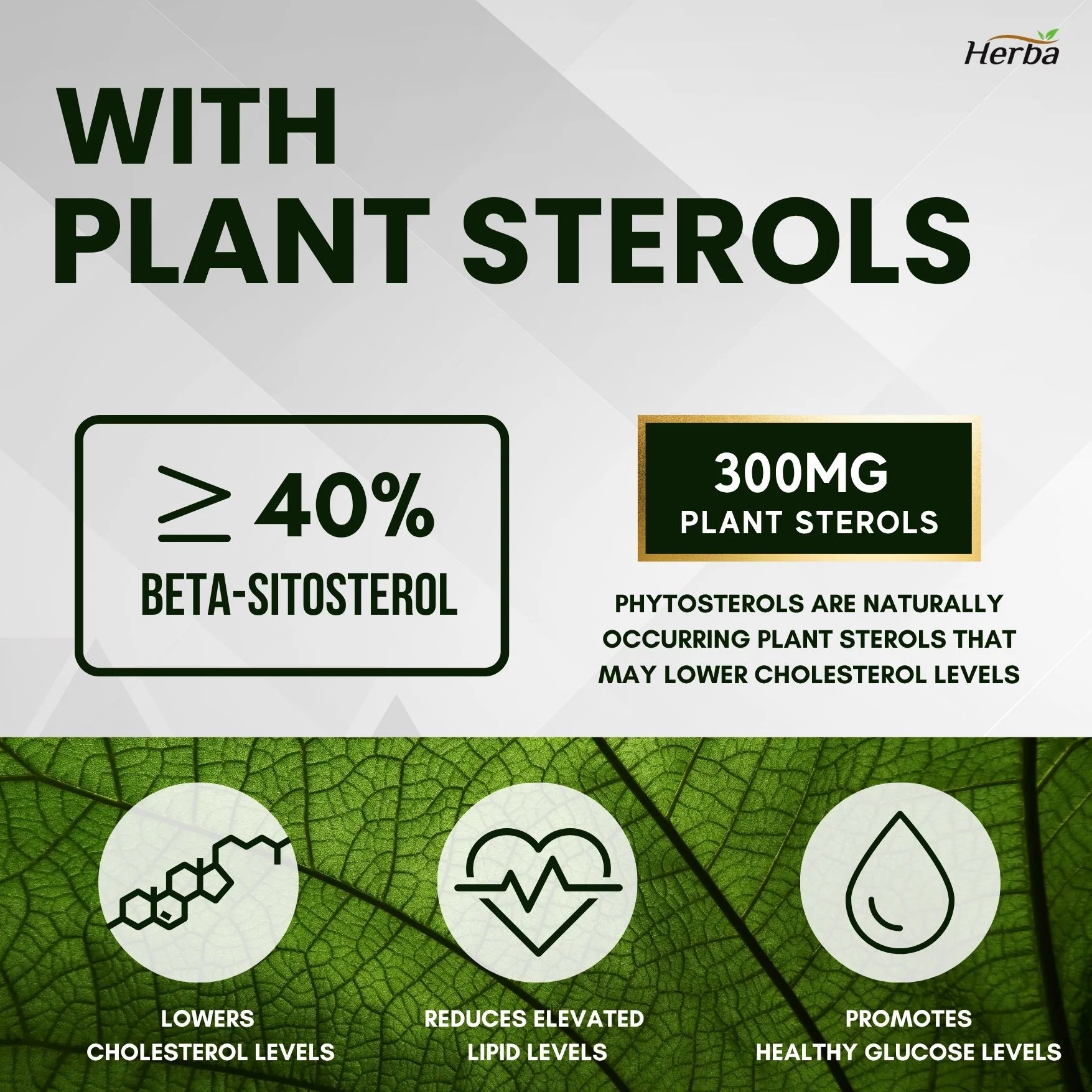 Cholesterol Care – 120 Vegetable Capsules - Image 6