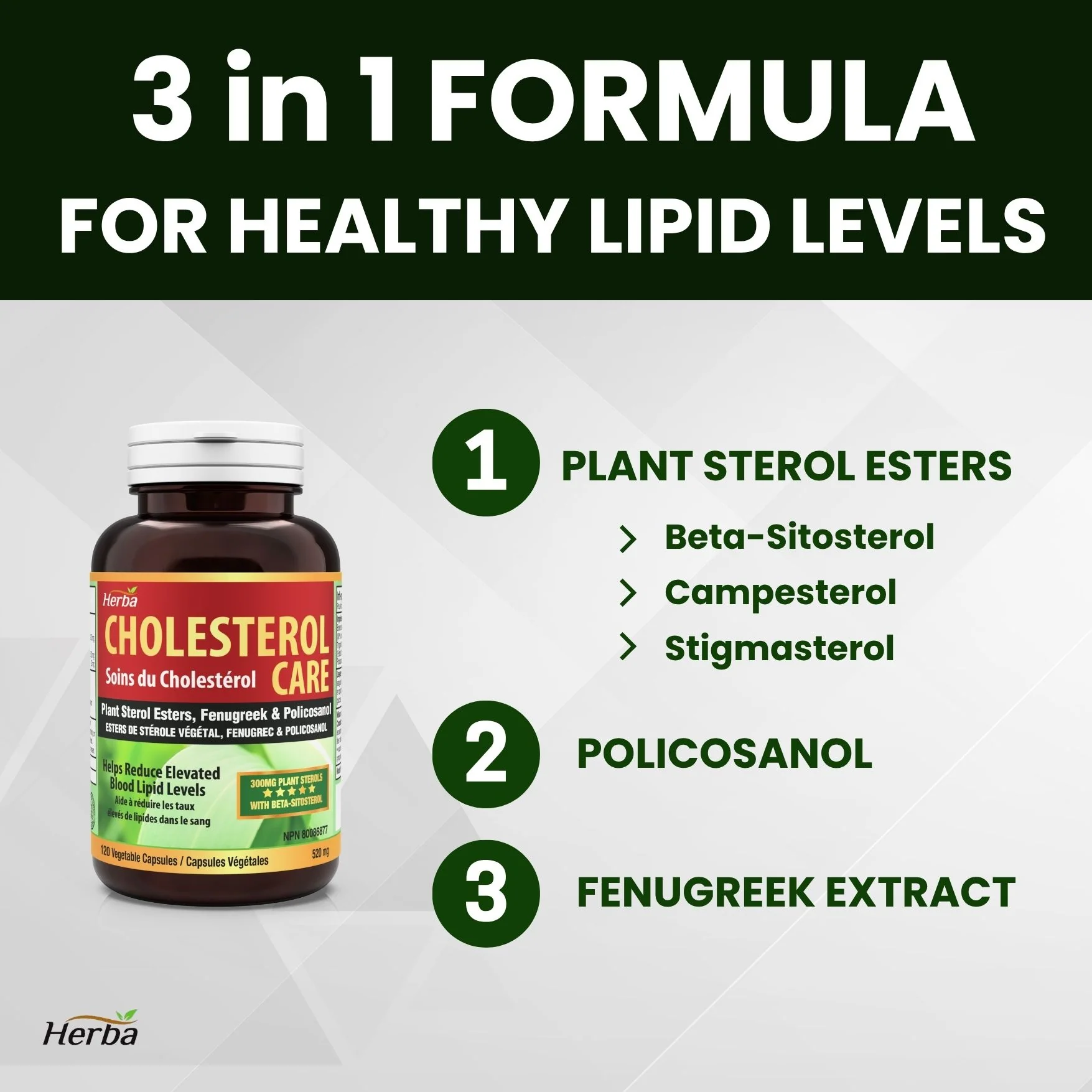 Cholesterol Care – 120 Vegetable Capsules - Image 8