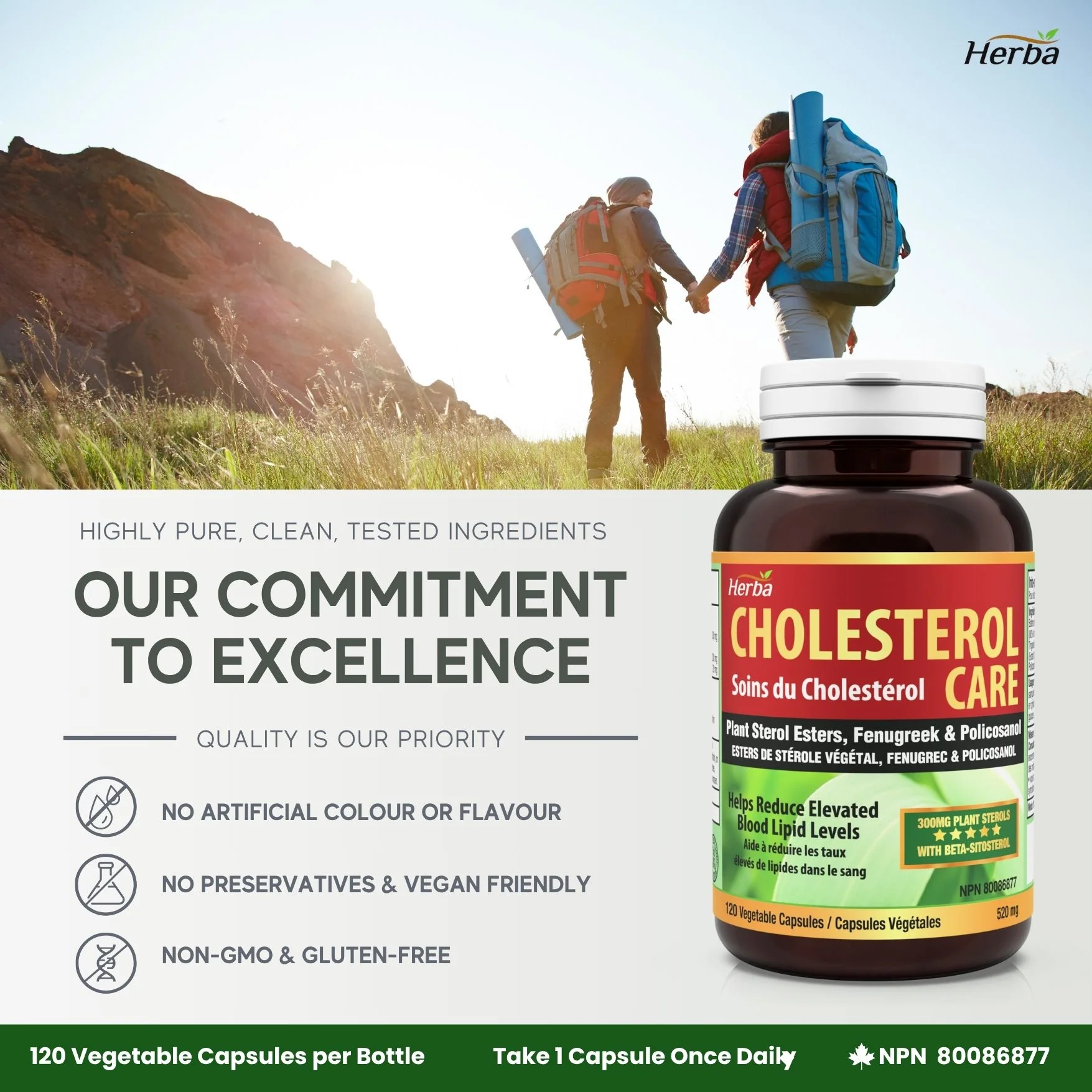 Cholesterol Care – 120 Vegetable Capsules - Image 9