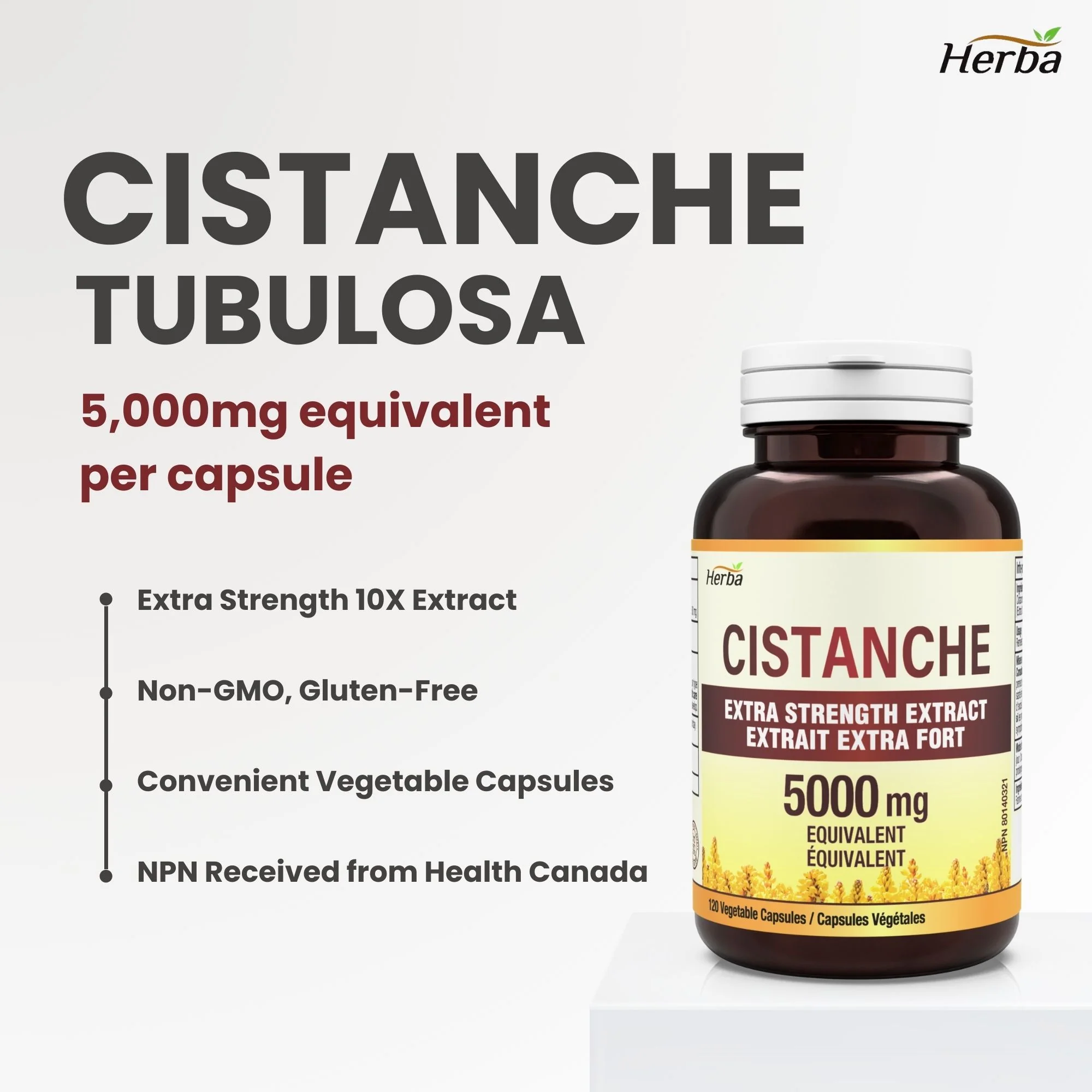 Cistanche Tubulosa Capsules – 120 Capsules | 5,000mg Equivalent | 10: 1 Extract | Made in Canada - Image 3