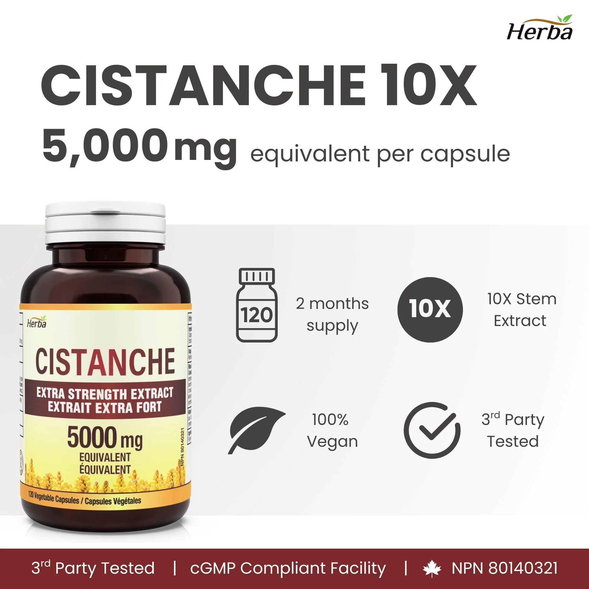 Cistanche Tubulosa Capsules – 120 Capsules | 5,000mg Equivalent | 10: 1 Extract | Made in Canada - Image 8