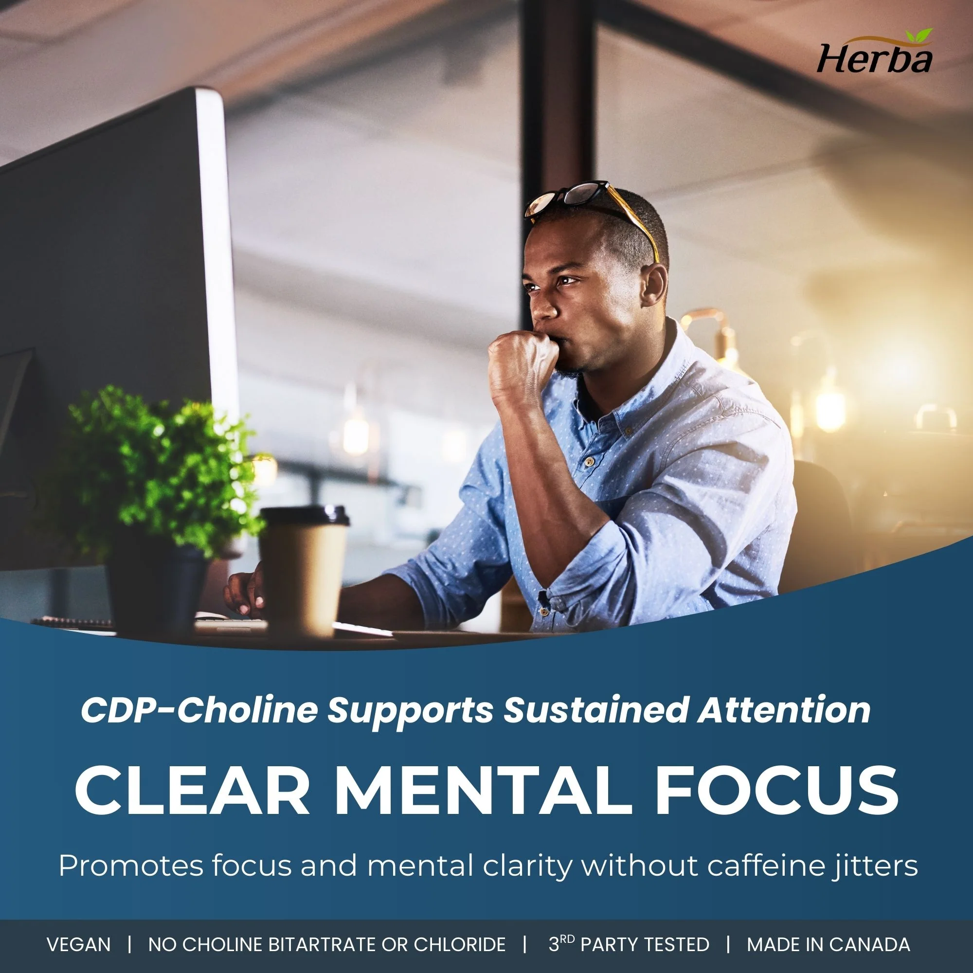 Citicoline Supplement 250mg – 90 Capsules | >98% Ultra Pure CDP Choline | Made in Canada - Image 3