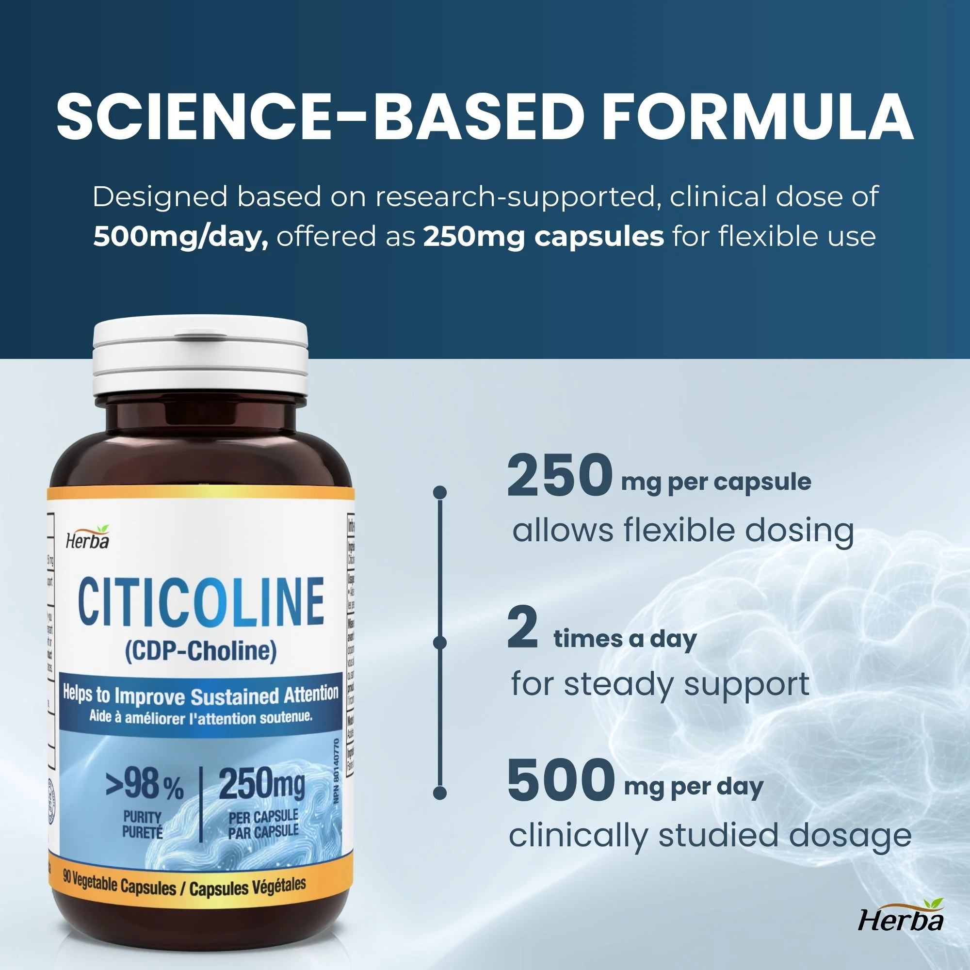 Citicoline Supplement 250mg – 90 Capsules | >98% Ultra Pure CDP Choline | Made in Canada - Image 4