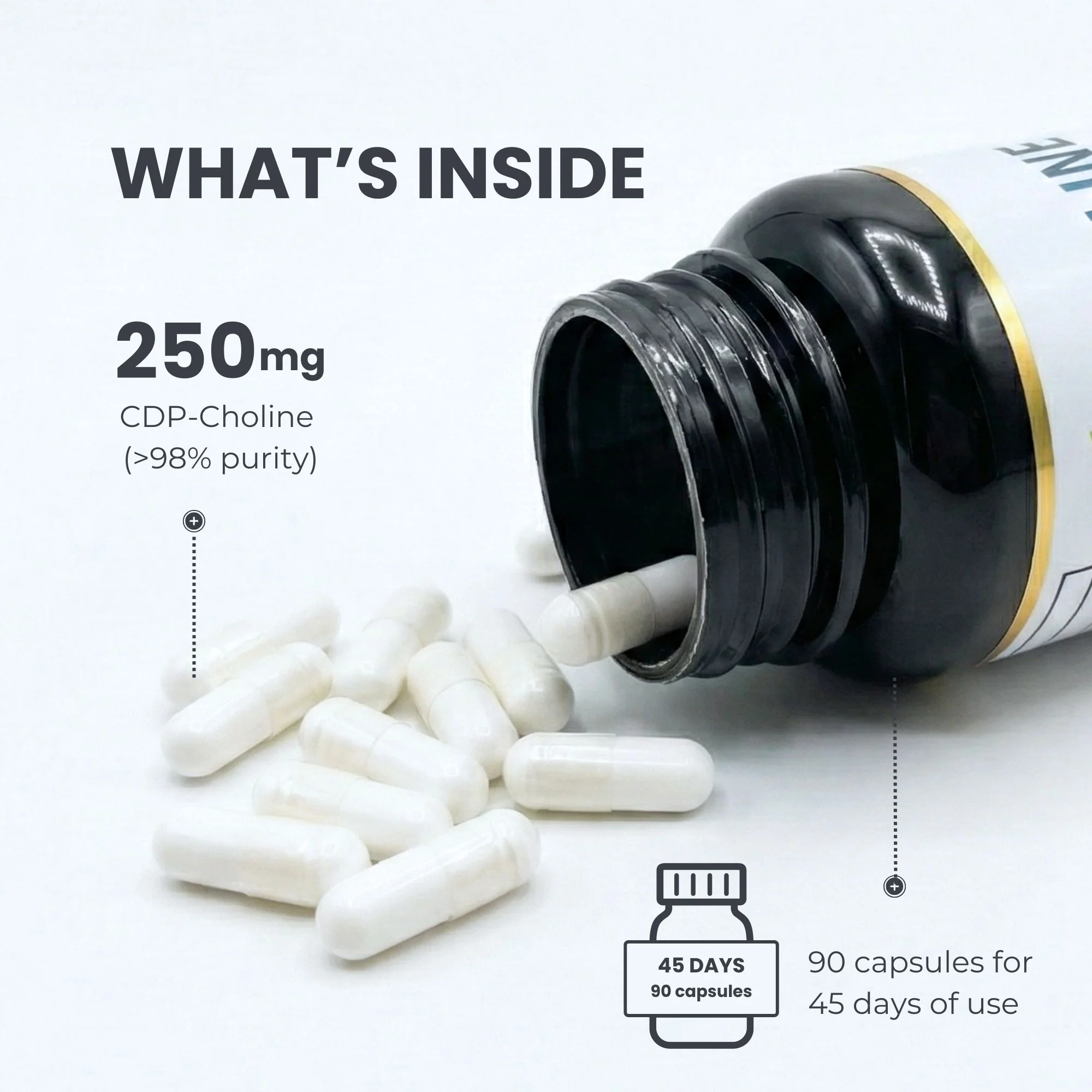 Citicoline Supplement 250mg – 90 Capsules | >98% Ultra Pure CDP Choline | Made in Canada - Image 6