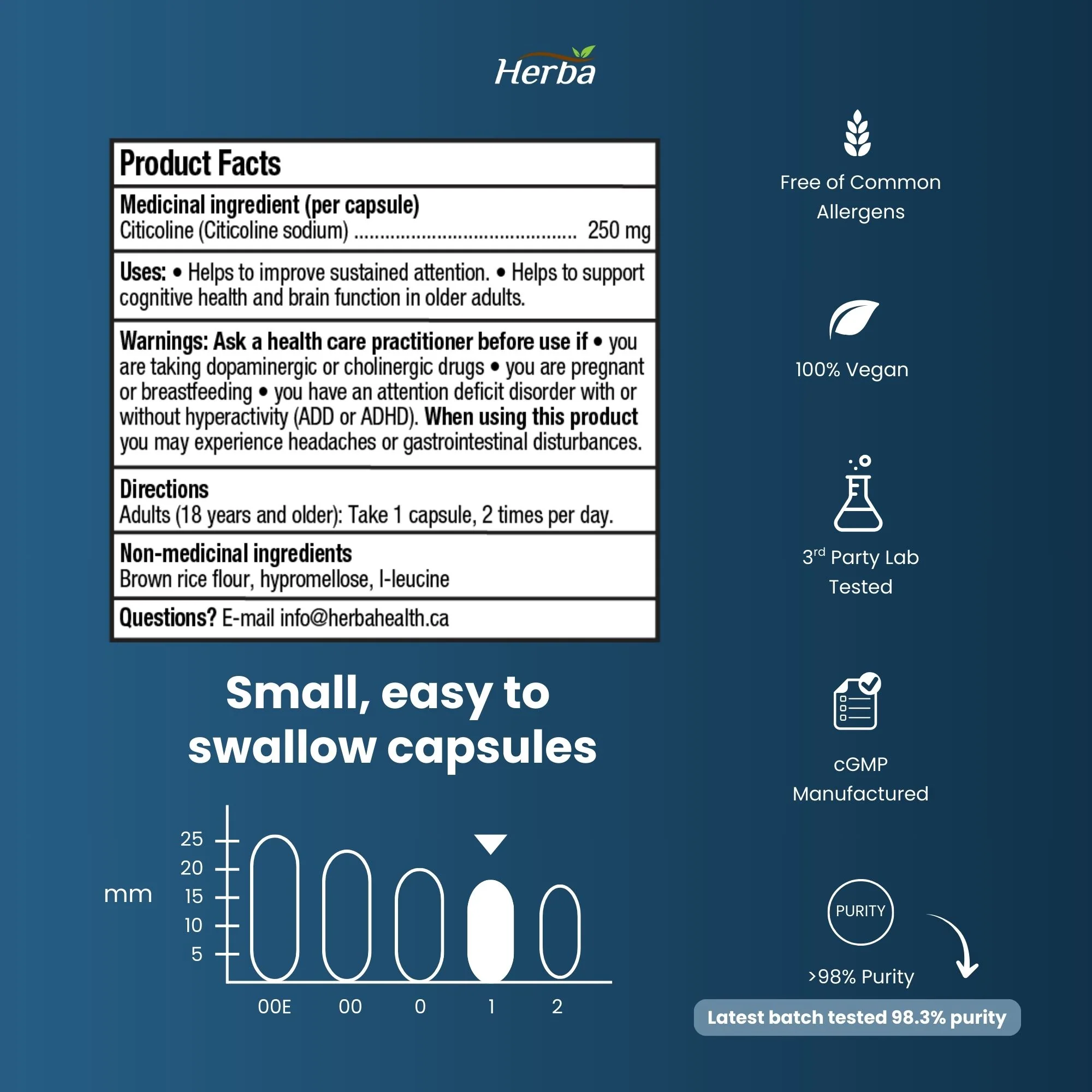 Citicoline Supplement 250mg – 90 Capsules | >98% Ultra Pure CDP Choline | Made in Canada - Image 7