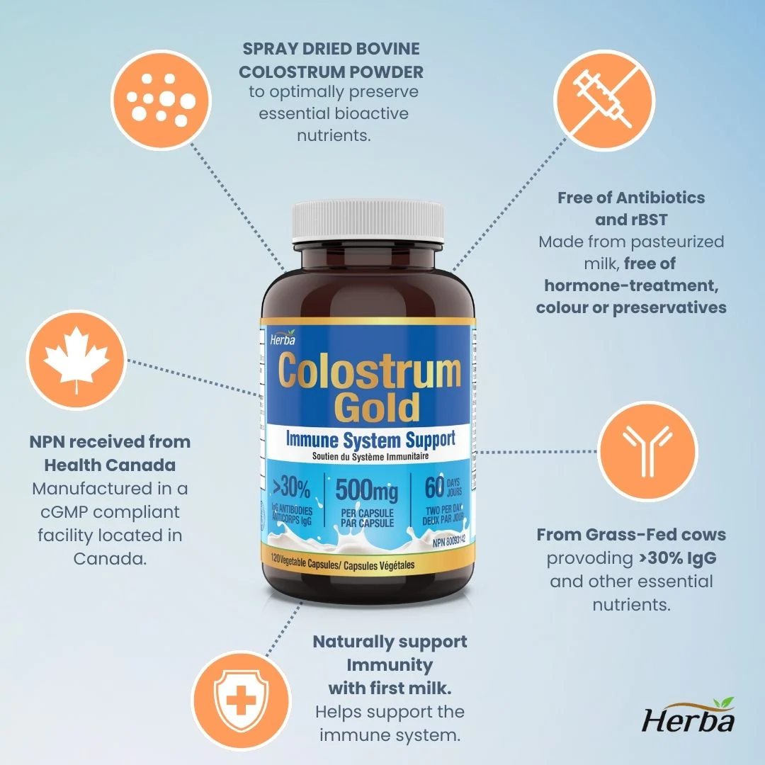 Bovine Colostrum Supplements 500mg - 120 Capsules | Rich in Lactoferrin and Immunoglobulins | 30% IgG - Image 4