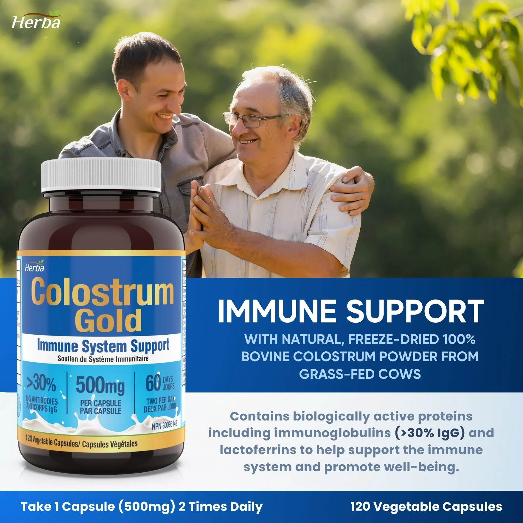 Bovine Colostrum Supplements 500mg - 120 Capsules | Rich in Lactoferrin and Immunoglobulins | 30% IgG - Image 6