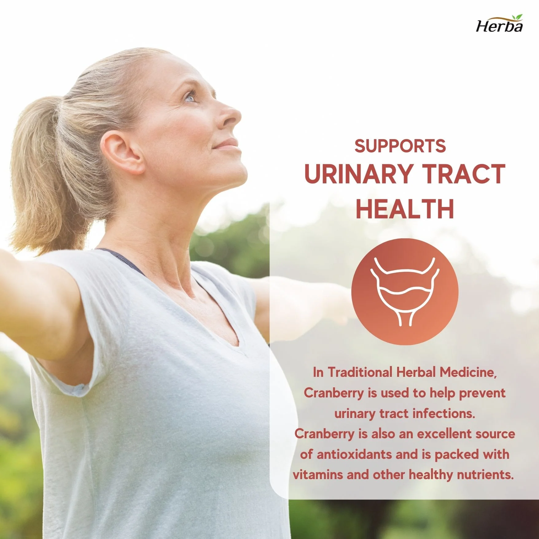 Cranberry Pills for Women and Men – 180 Cranberry Capsules | 28,800mg Per Day | 36:1 Concentration - Image 6