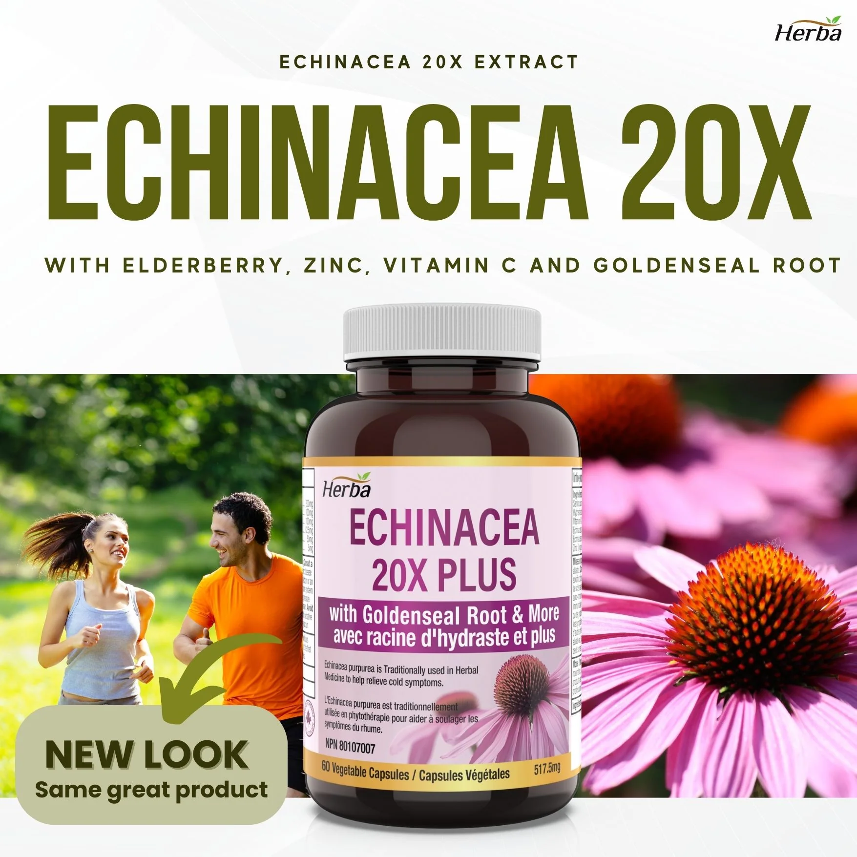 Echinacea Capsules – 60 Vegetable Capsules | 4500mg of Echinacea Per Day - Image 3