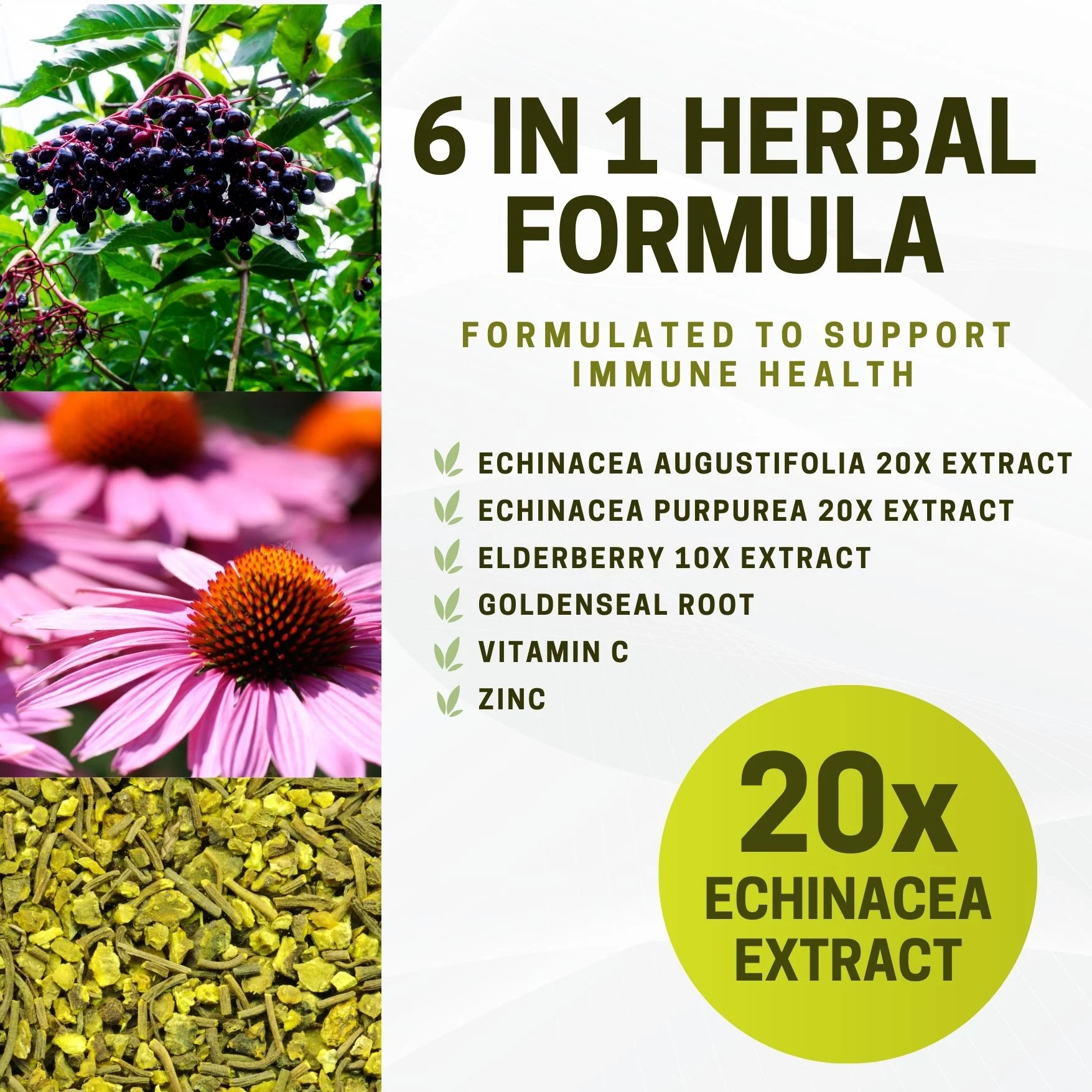 Echinacea Capsules – 60 Vegetable Capsules | 4500mg of Echinacea Per Day - Image 5