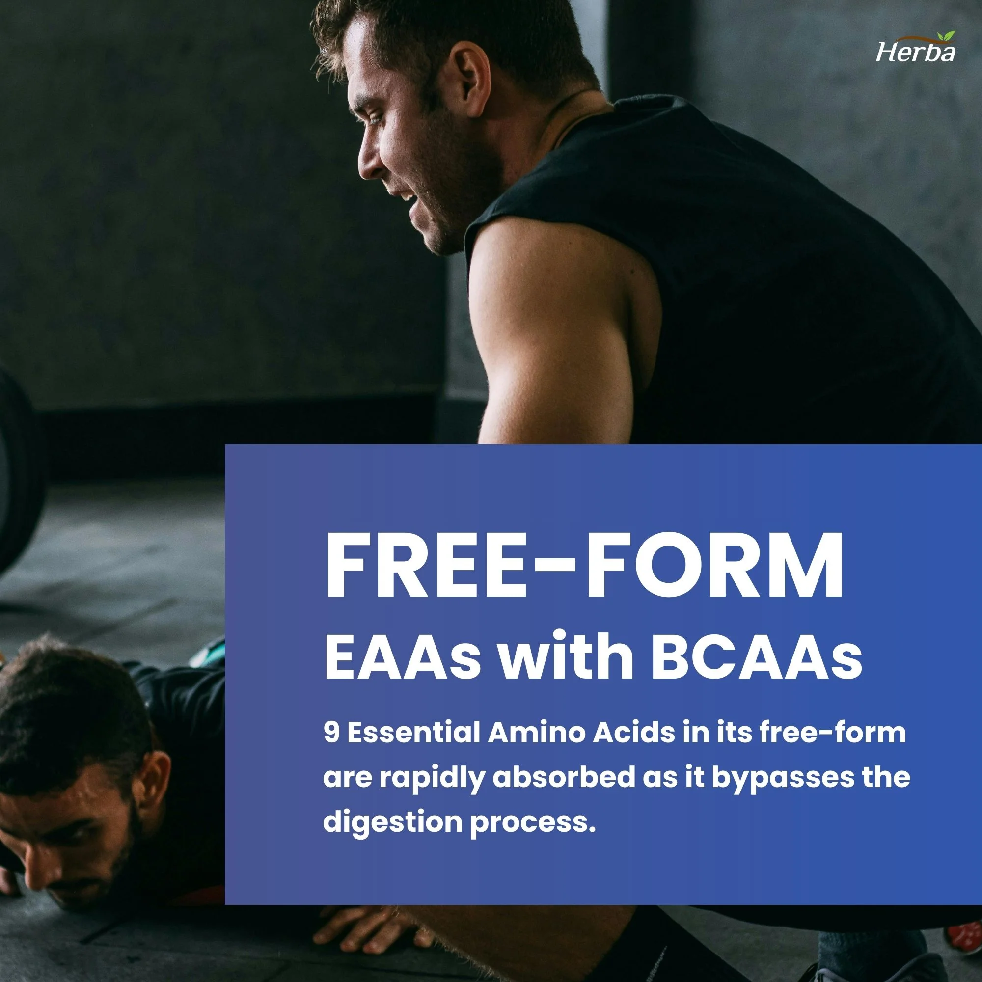 Essential Amino Acids Supplement – 180 Capsules | All 9 EAA Supplement in Free Form | Made in Canada - Image 5