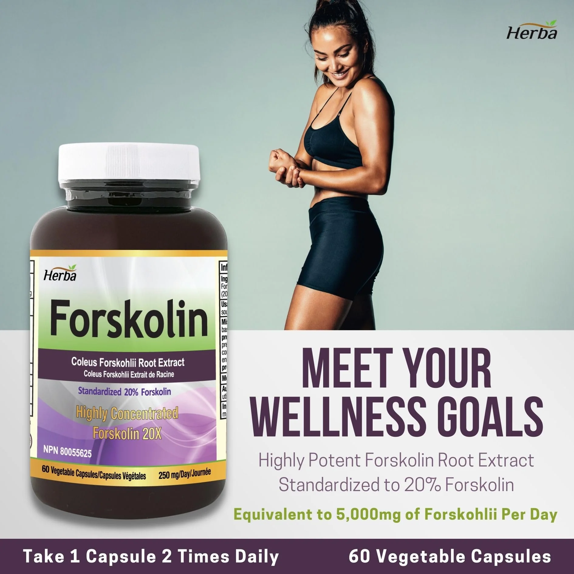 Forskolin Supplements - 125mg, 60 Vegetable Capsules- Forskolin Extract - Made in Canada - Image 4