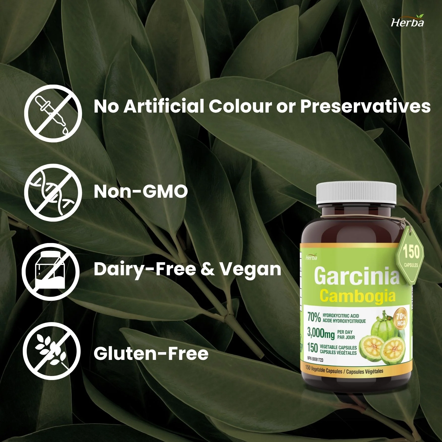 Garcinia Cambogia Extract – 70% HCA  | 150 Vegetable Capsules - Image 6