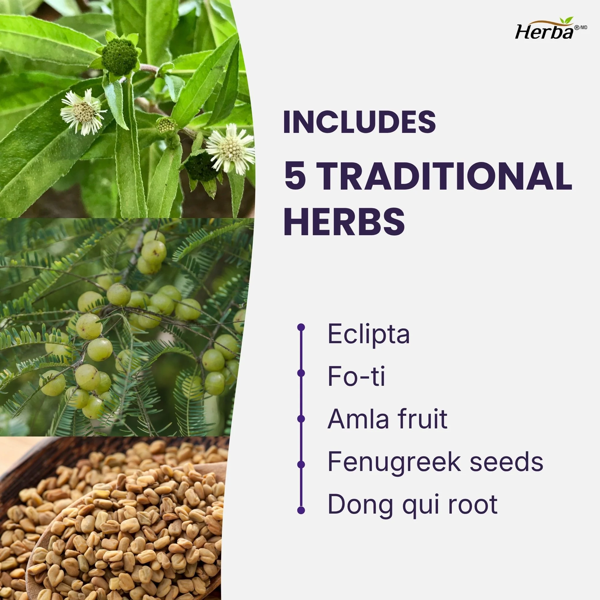 Hair Maxol 2 Hair Growth Vitamins with Biotin for Hair Growth for Men and Women - Image 5