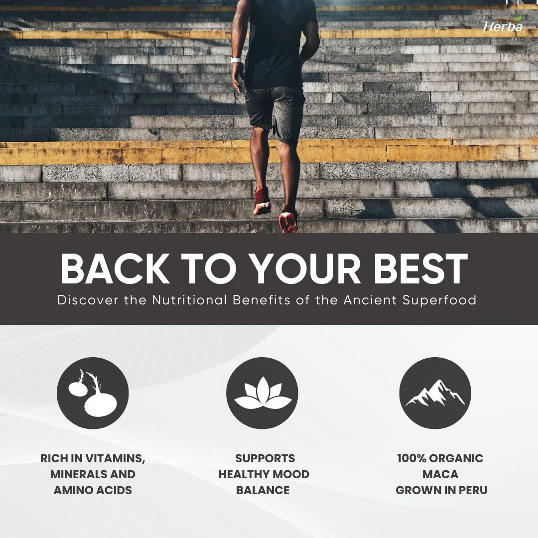 Organic Black Maca Capsules - 3500mg, 180 Capsules | Peruvian Black Maca | Made in Canada - Image 4