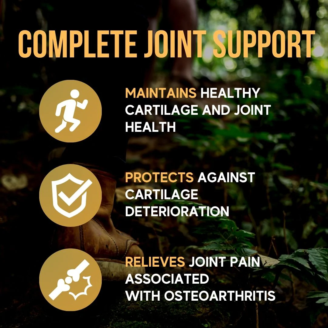Joint Care Supplement with Glucosamine Chondroitin MSM Capsules – 180 Capsules - Image 5
