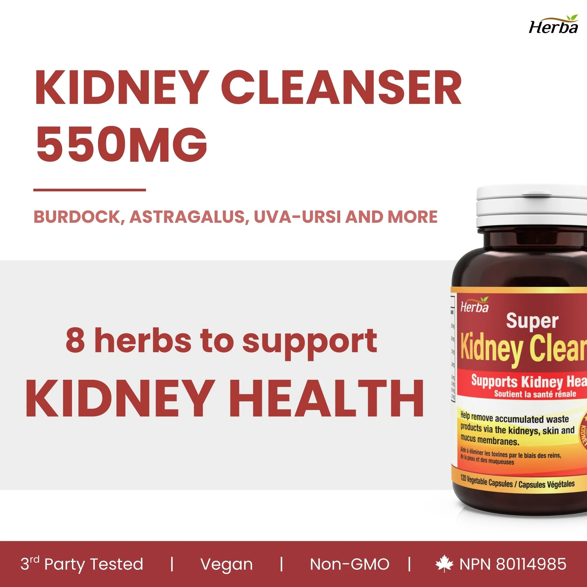 Kidney Cleanse Supplement – 120 Capsules | 8 Natural Ingredients to Support Kidney and Bladder Health - Image 3