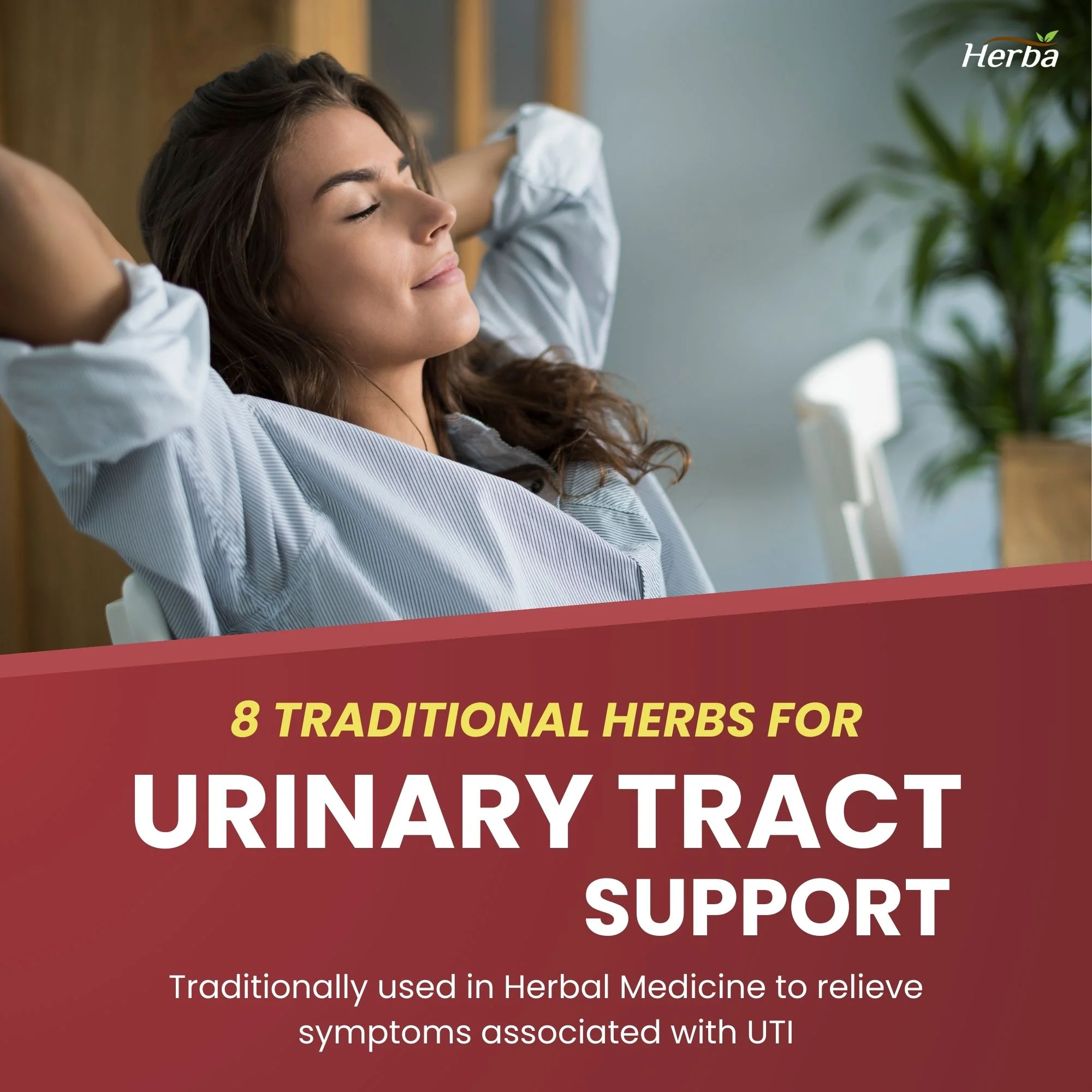 Kidney Cleanse Supplement – 120 Capsules | 8 Natural Ingredients to Support Kidney and Bladder Health - Image 4