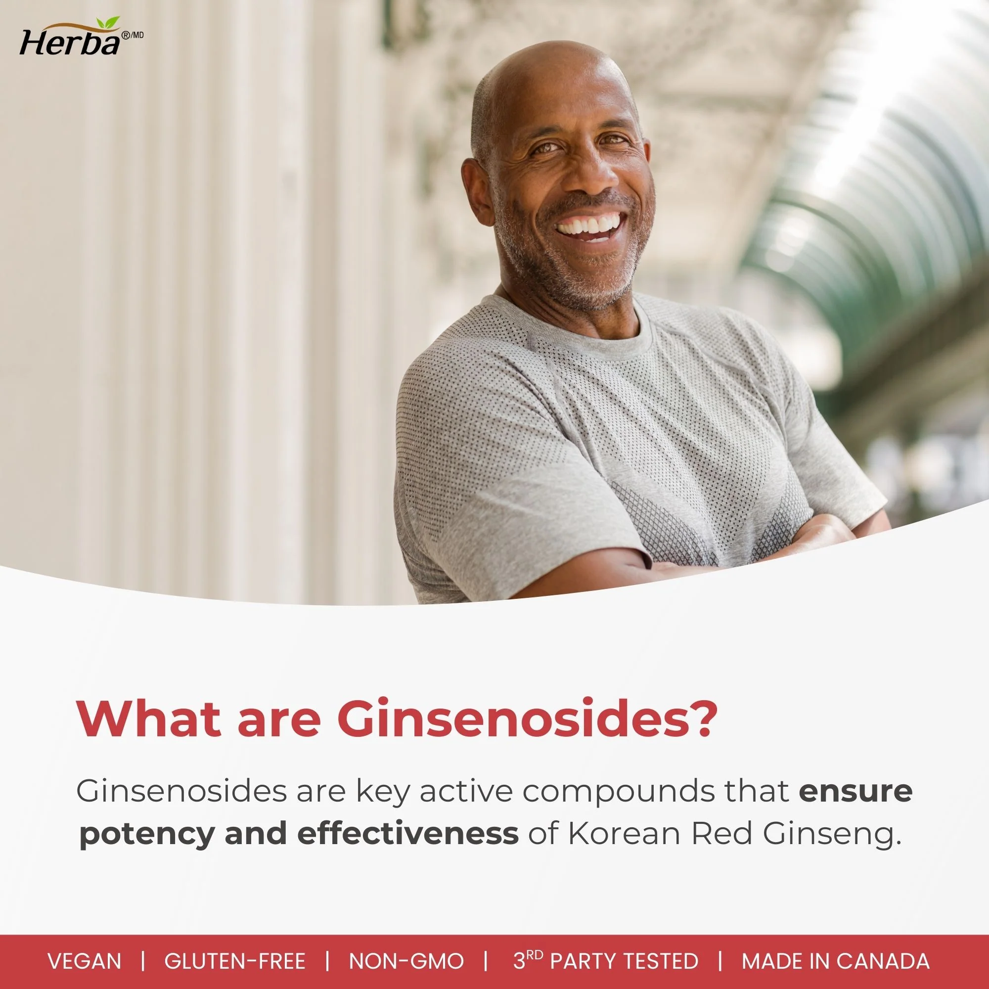 Korean Red Ginseng Extract Capsules – 5:1, 2500mg Equivalent | 120 Vegetable Capsules - Image 5