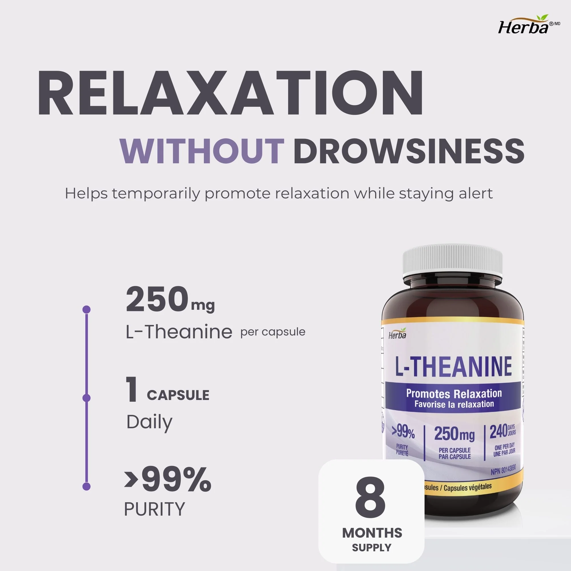 L-Theanine Supplement 250mg – 240 Capsules | Promotes Relaxation Without Drowsiness | 8 Month Supply | Made in Canada - Image 3
