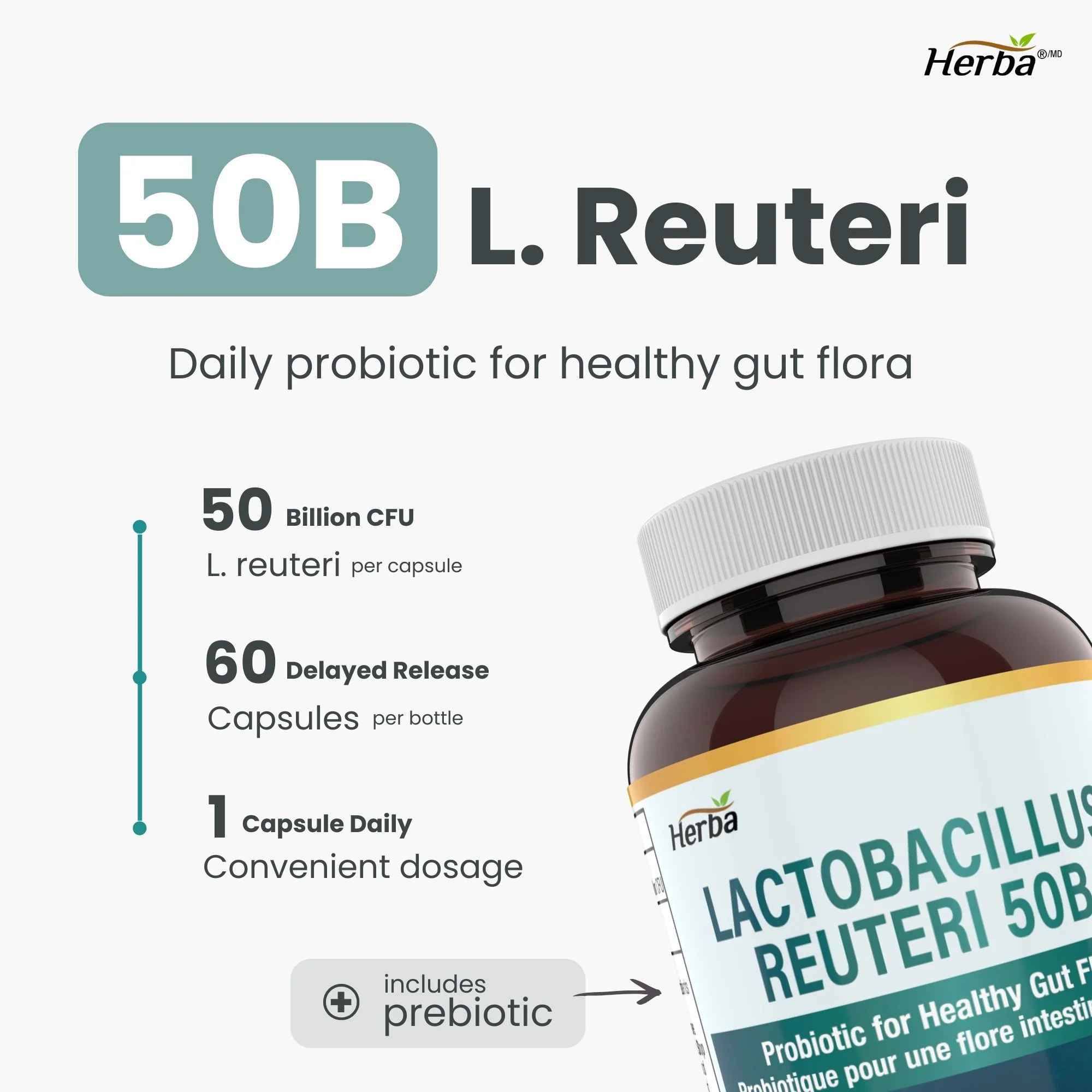 Lactobacillus Reuteri 50B CFU – 60 DR Capsules | With Prebiotic FOS | Made in Canada - Image 3