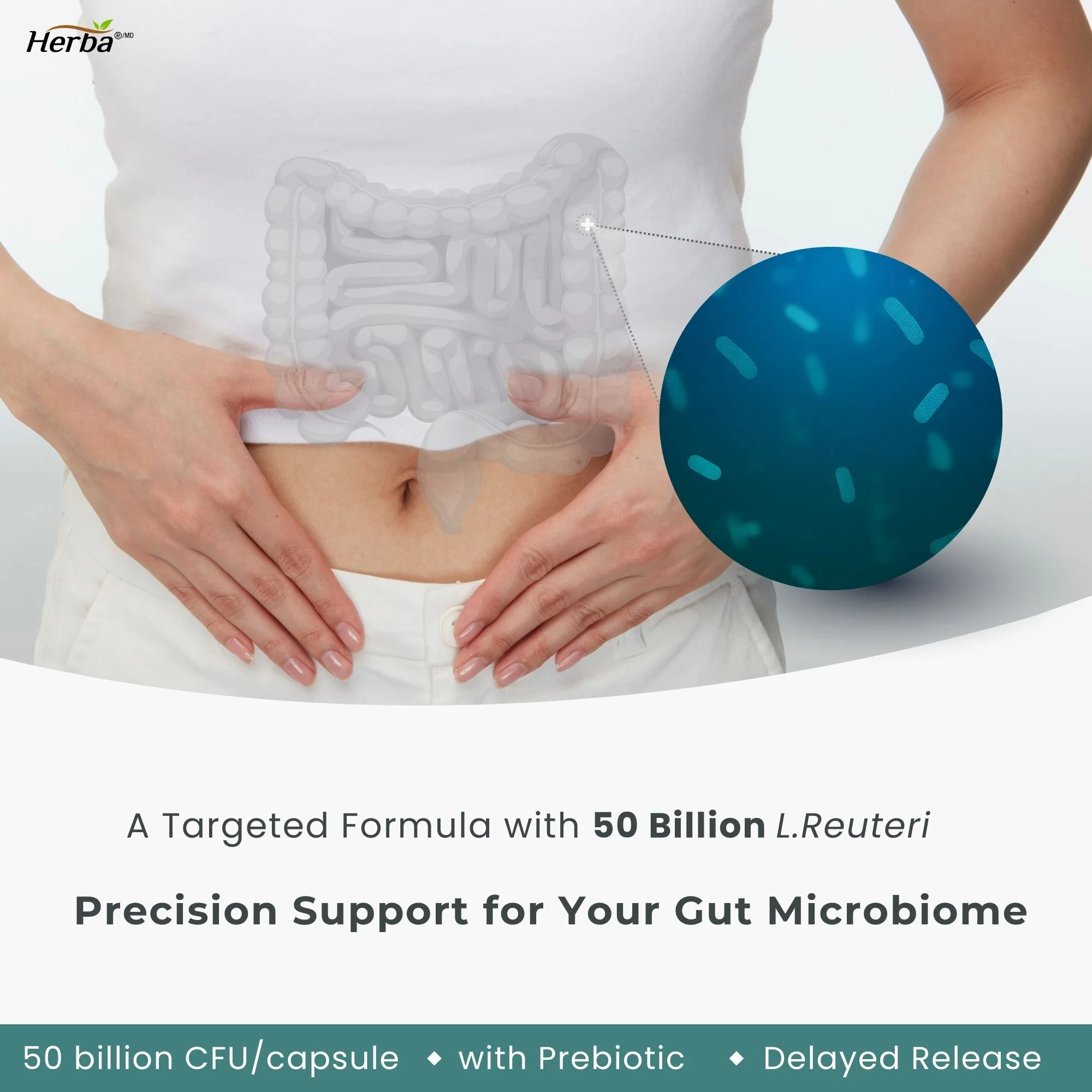 Lactobacillus Reuteri 50B CFU – 60 DR Capsules | With Prebiotic FOS | Made in Canada - Image 4