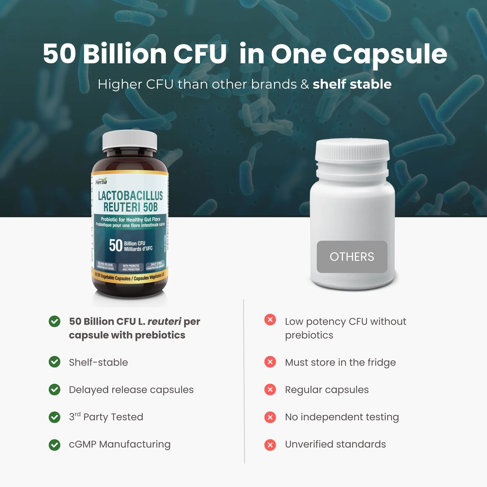 Lactobacillus Reuteri 50B CFU – 60 DR Capsules | With Prebiotic FOS | Made in Canada - Image 6