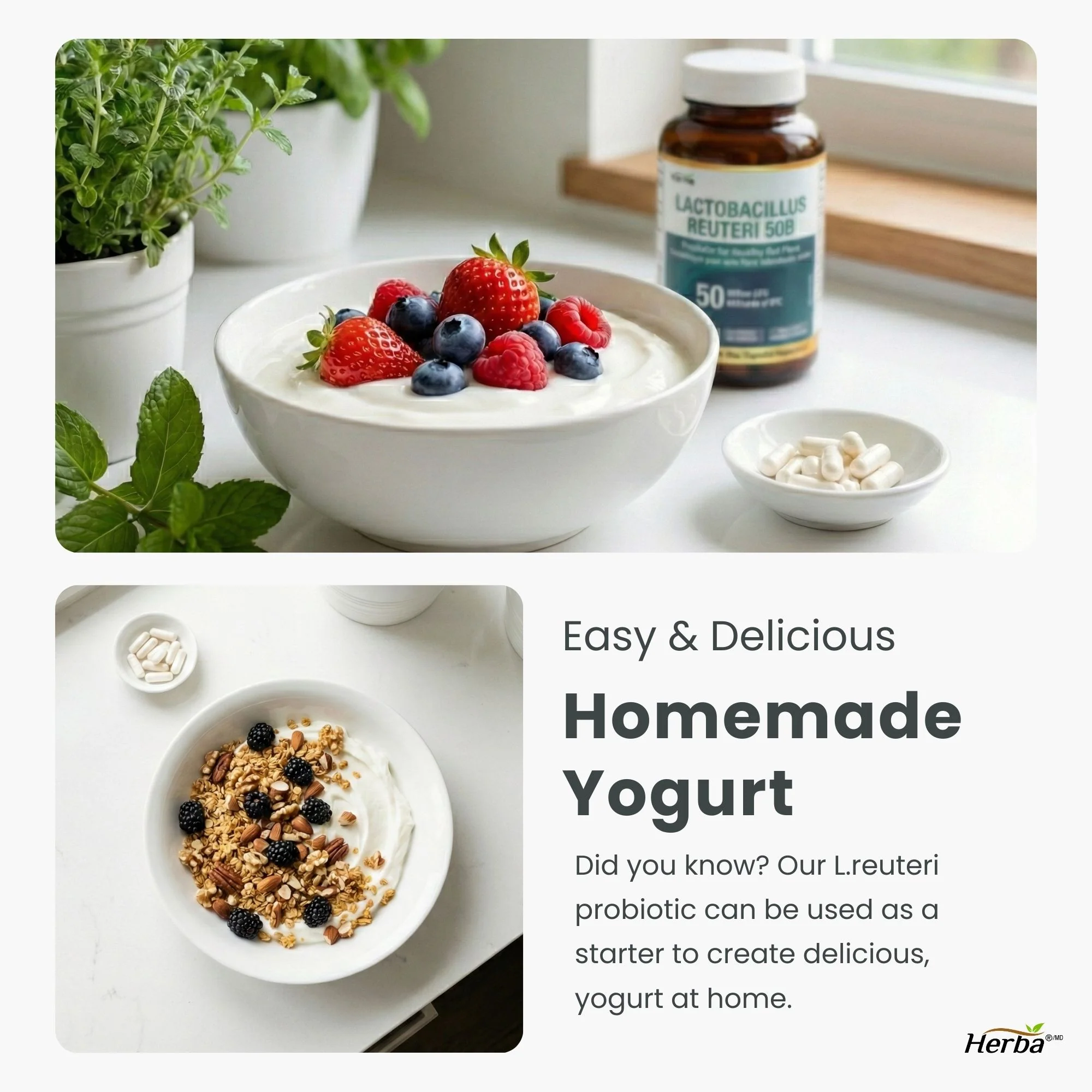 Lactobacillus Reuteri 50B CFU – 60 DR Capsules | With Prebiotic FOS | Made in Canada - Image 7