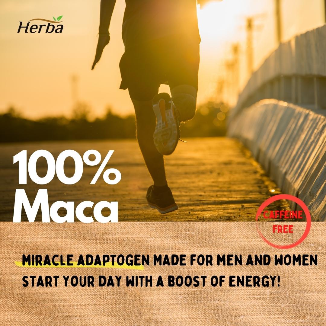 Organic Peruvian Maca Capsules - 500mg, 200 Capsules - Image 4