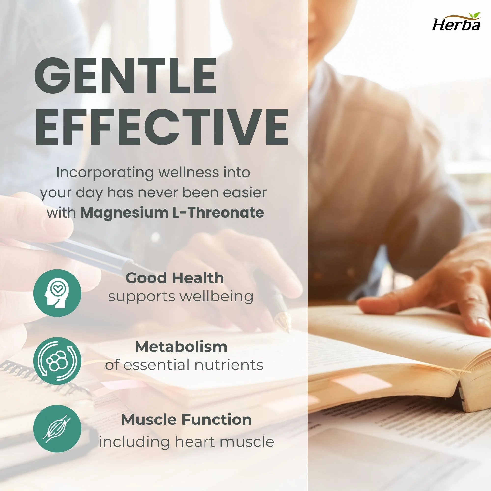 Magnesium L-Threonate Supplement – 186mg | Made in Canada | 90 Vegetable Capsules - Image 5